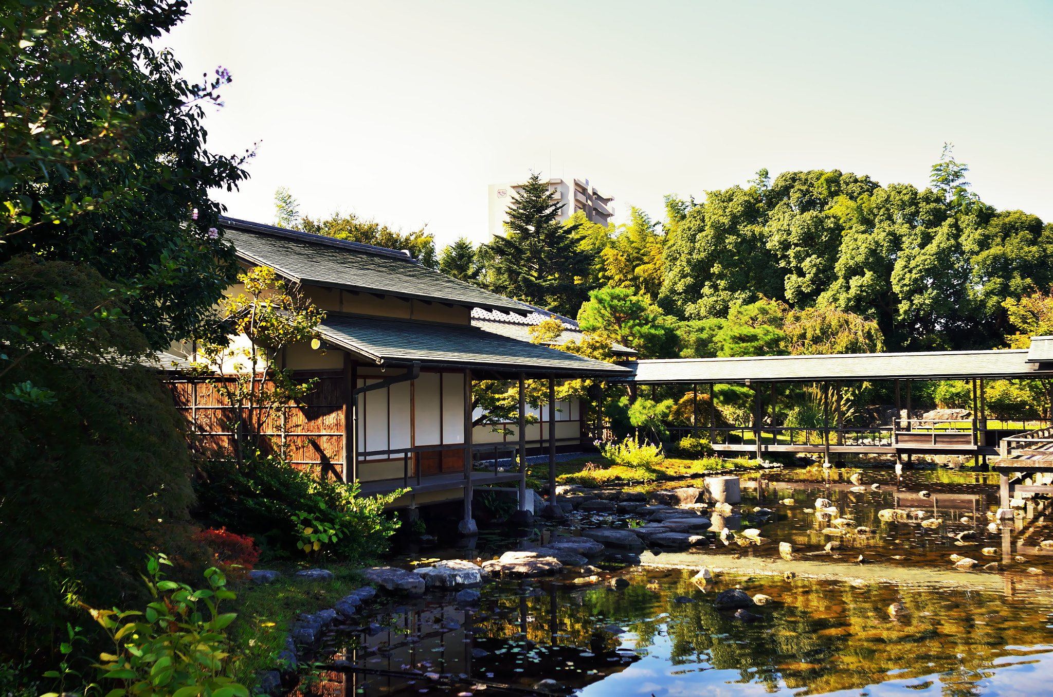Nikon AF Nikkor 24mm F2.8D sample photo. 「茶室　清羽亭」 photography