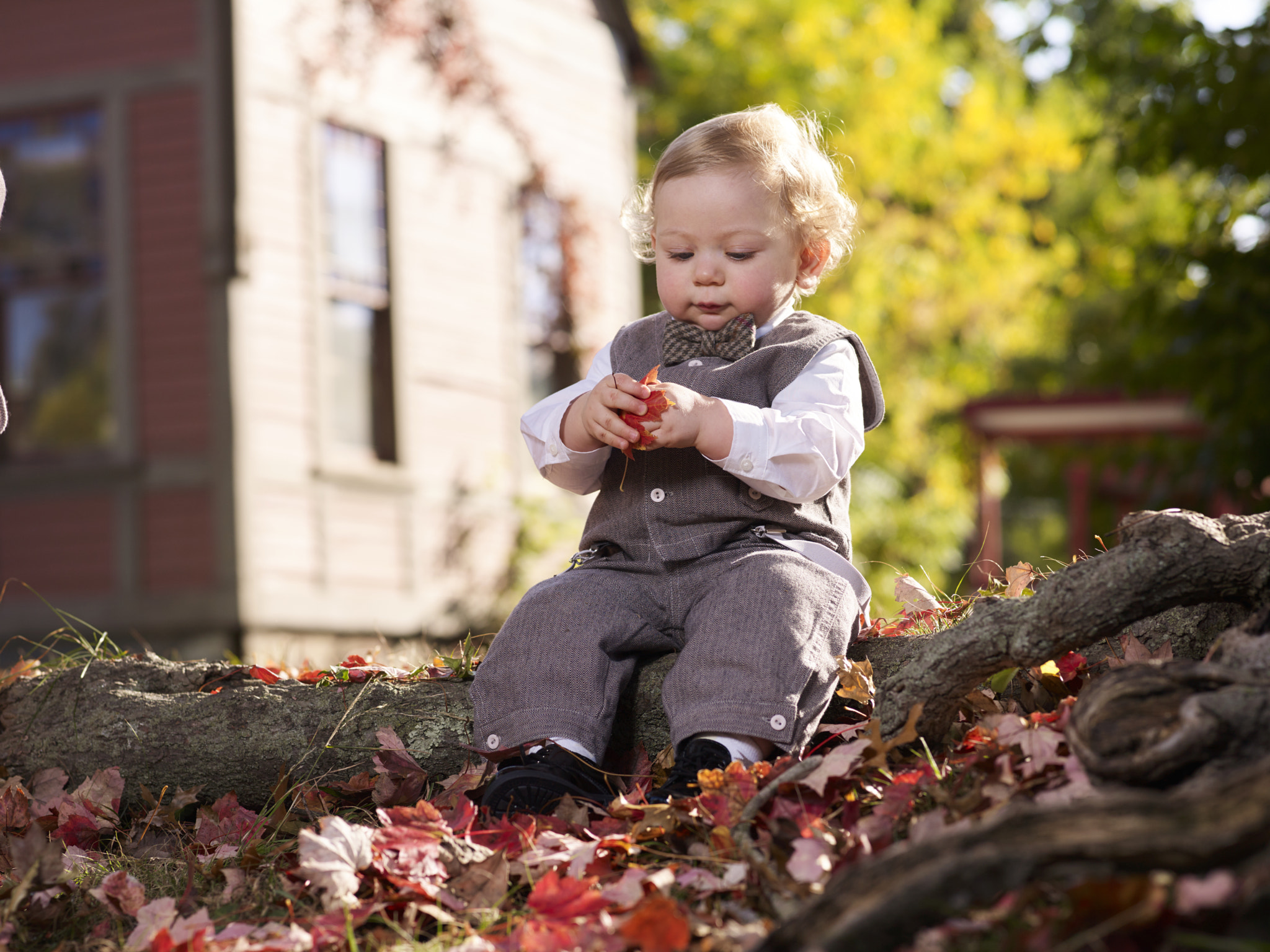 Phase One P30+ sample photo. Sunshine boy photography