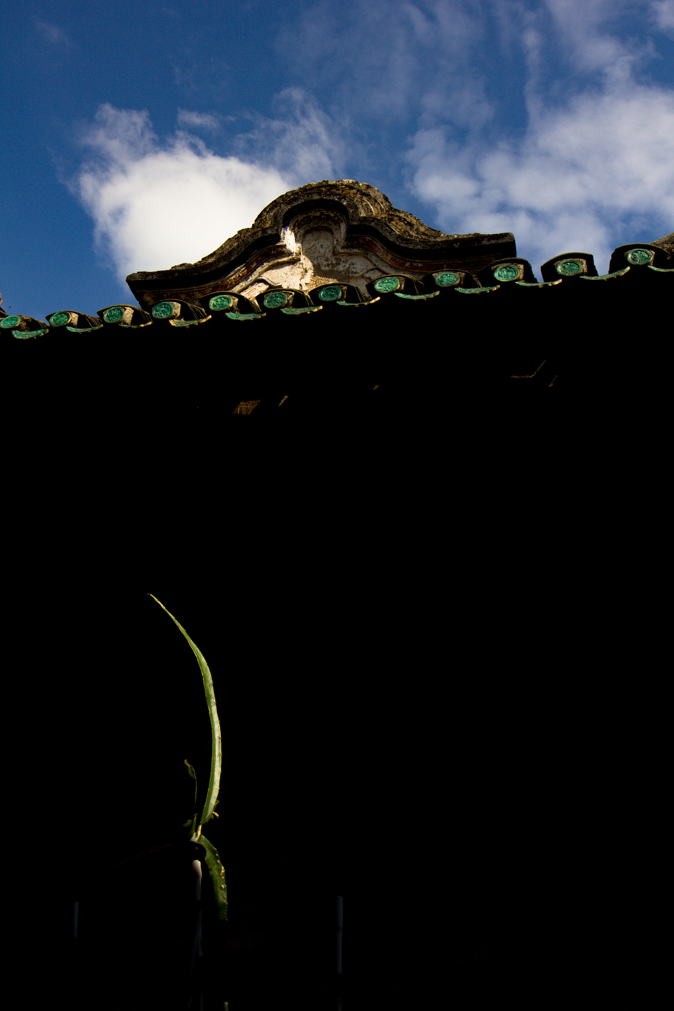 Canon EF 24-70mm F4L IS USM sample photo. 傲 photography