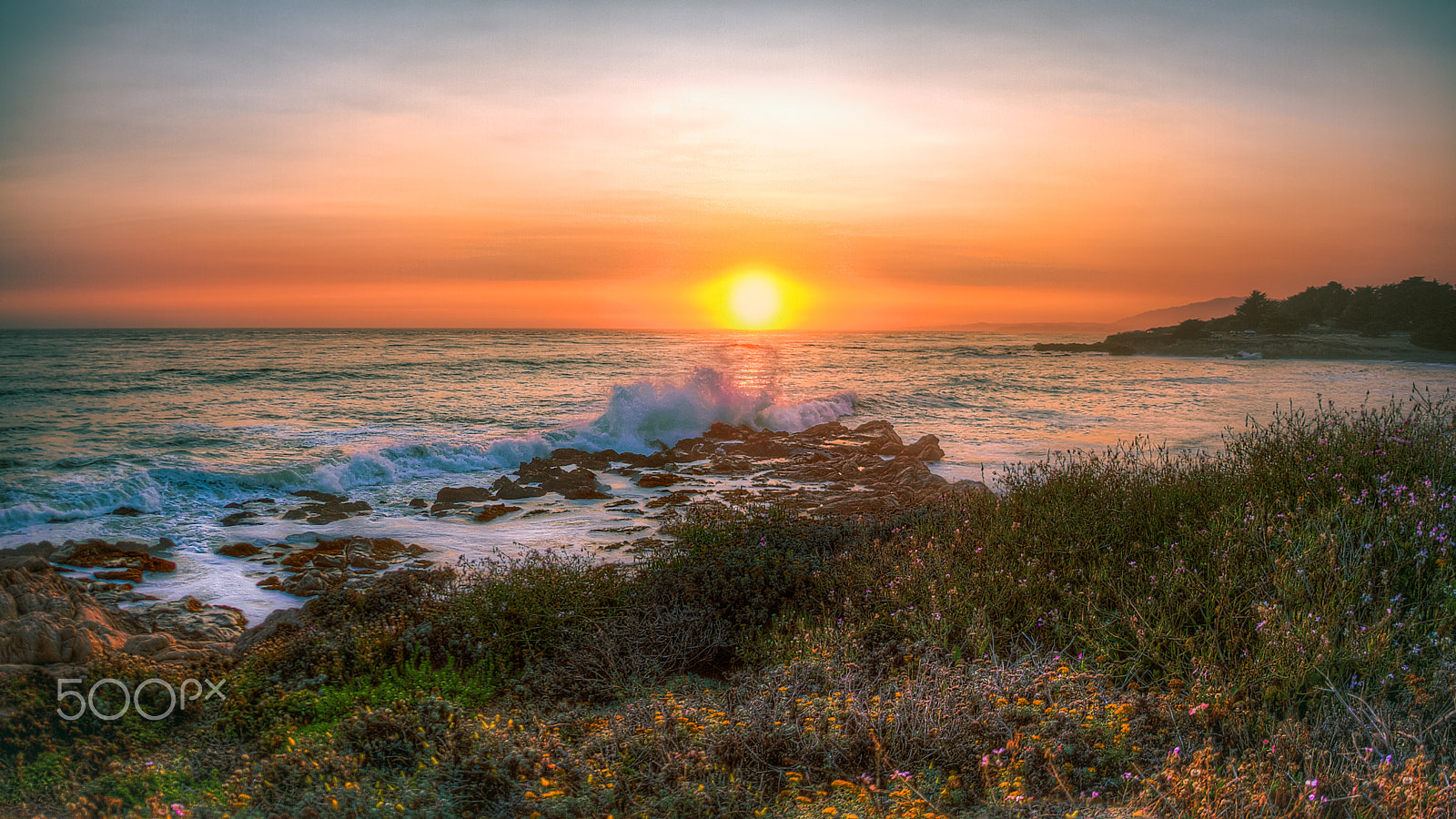 Canon EOS 7D + Sigma 15mm f/2.8 EX Fisheye sample photo. Moonstone beach photography