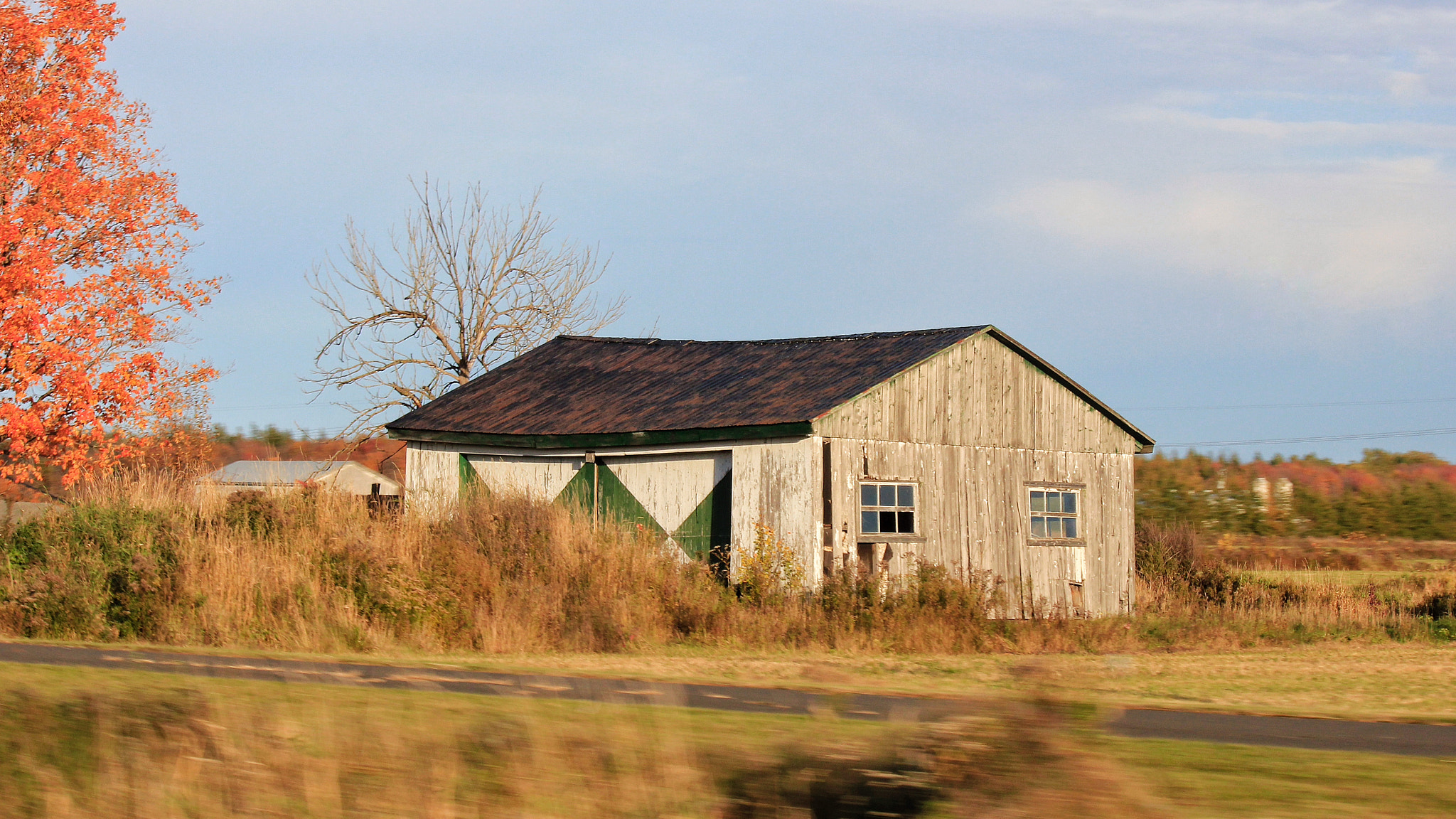 Canon EF-S 55-250mm F4-5.6 IS II sample photo. Not old... experienced photography