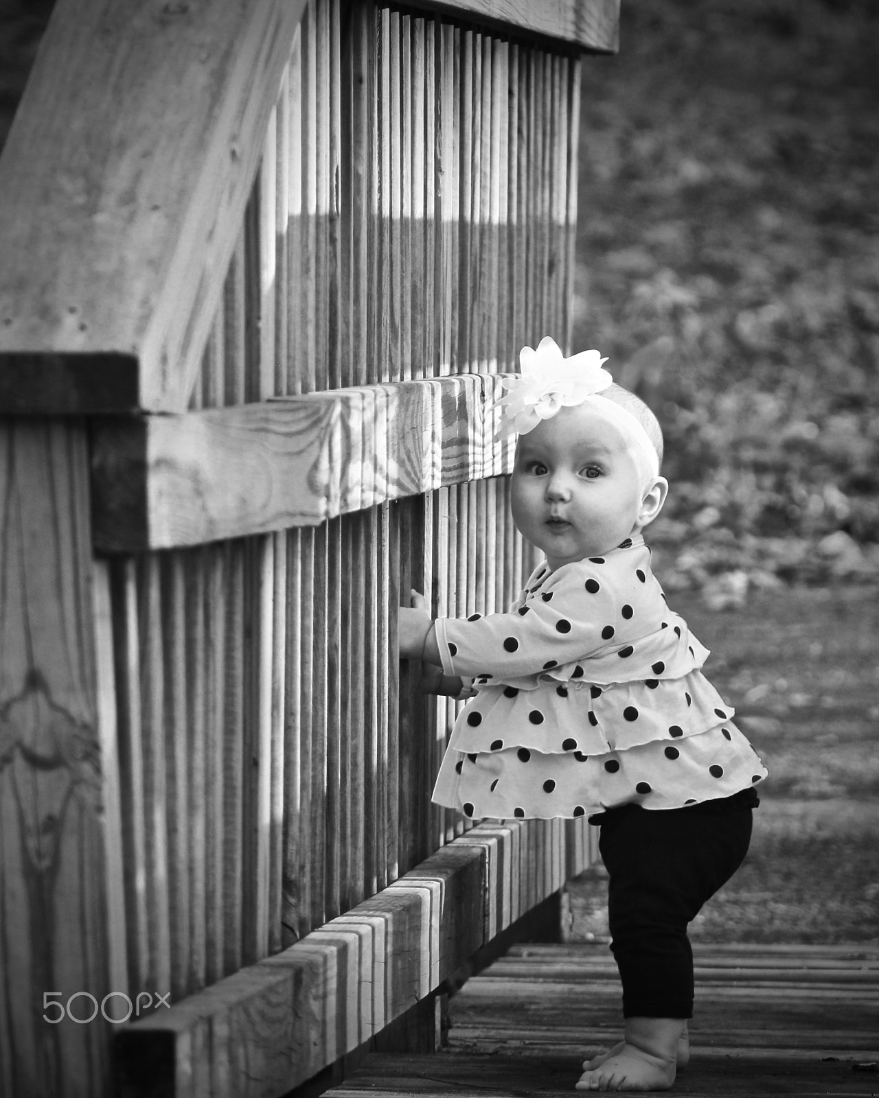 Canon EOS 100D (EOS Rebel SL1 / EOS Kiss X7) + EF75-300mm f/4-5.6 sample photo. Kirra photography