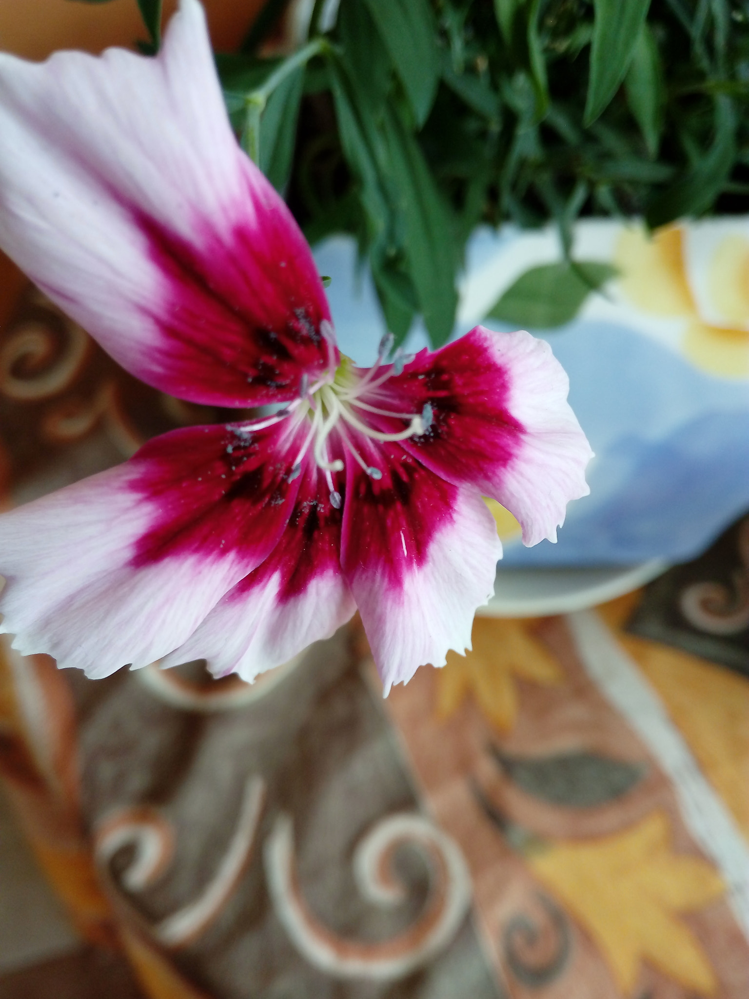 HUAWEI GR3 sample photo