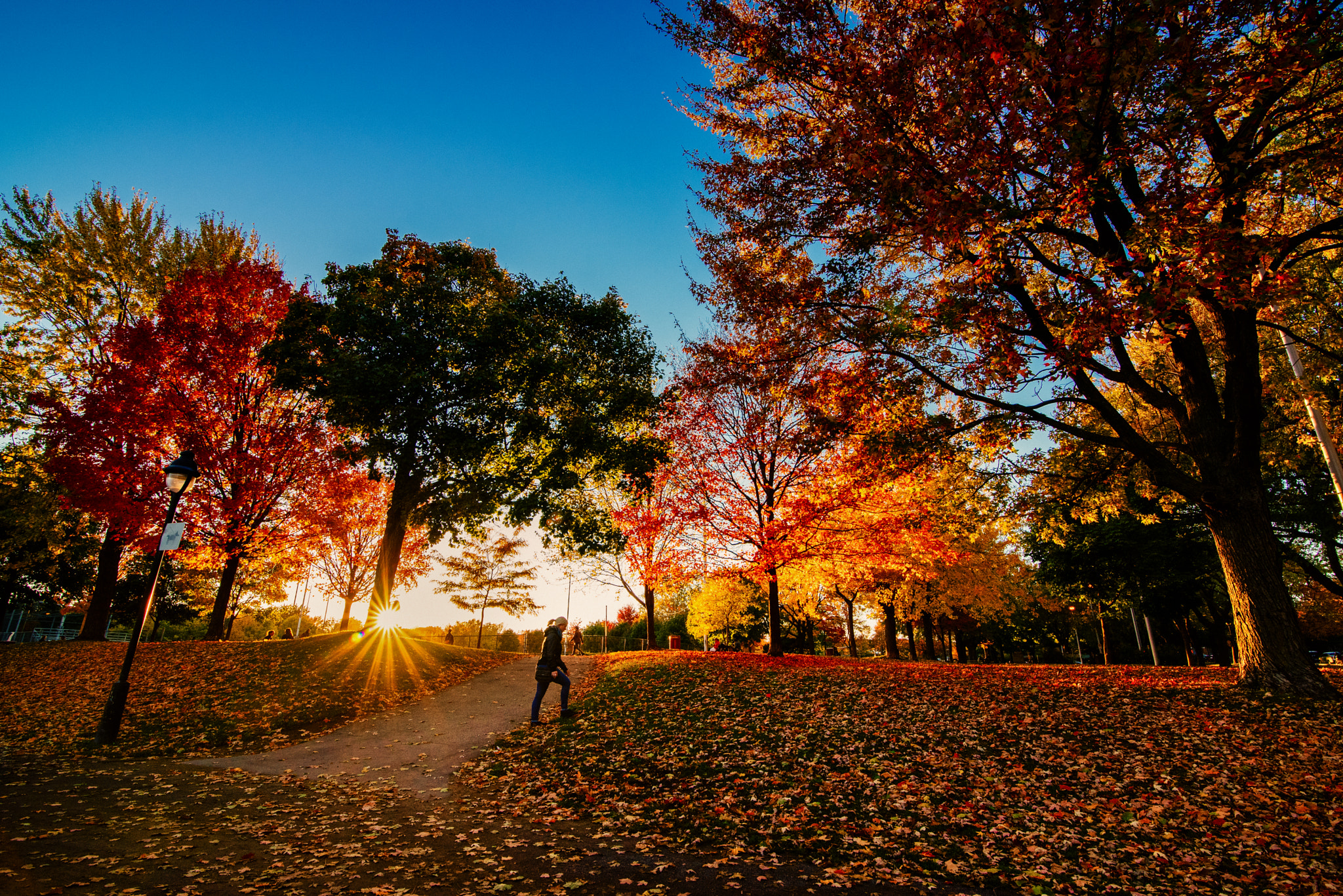 Tokina AT-X 16-28mm F2.8 Pro FX sample photo. A fall day photography