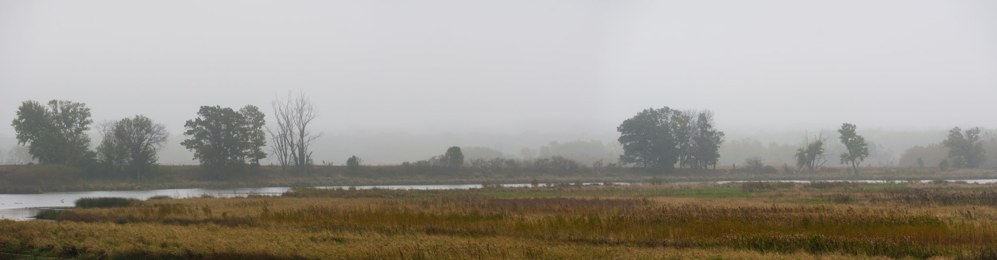Sony Alpha NEX-6 + Sony E 55-210mm F4.5-6.3 OSS sample photo. Foggy fall morning at nygren photography