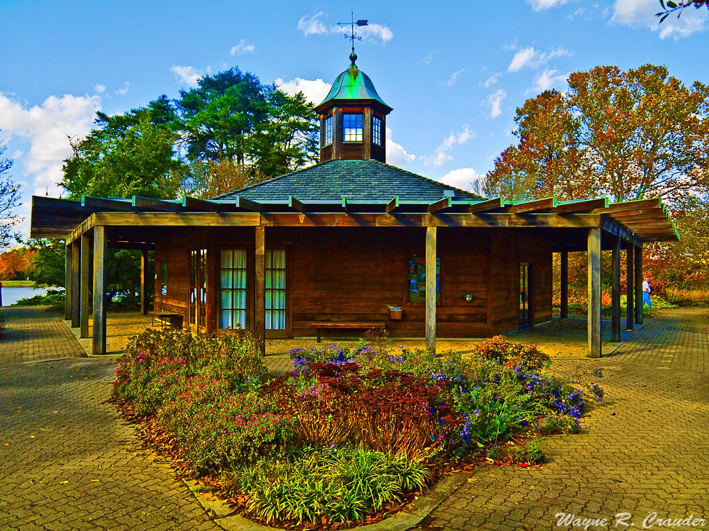 Panasonic Lumix DMC-GF5 sample photo. Bernheim forest photography
