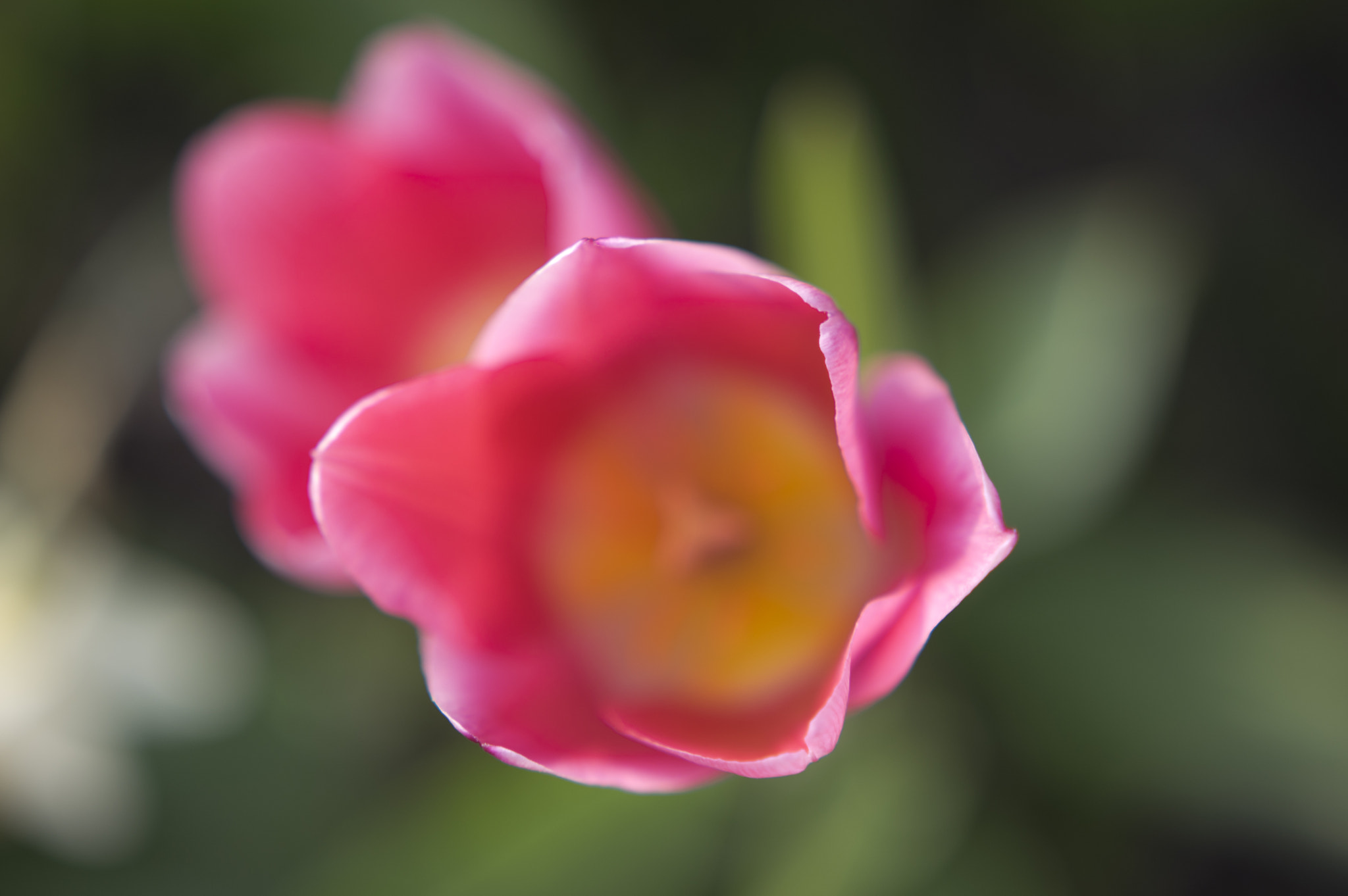 Pentax K-3 + Sigma 18-35mm F1.8 DC HSM Art sample photo. From the top photography