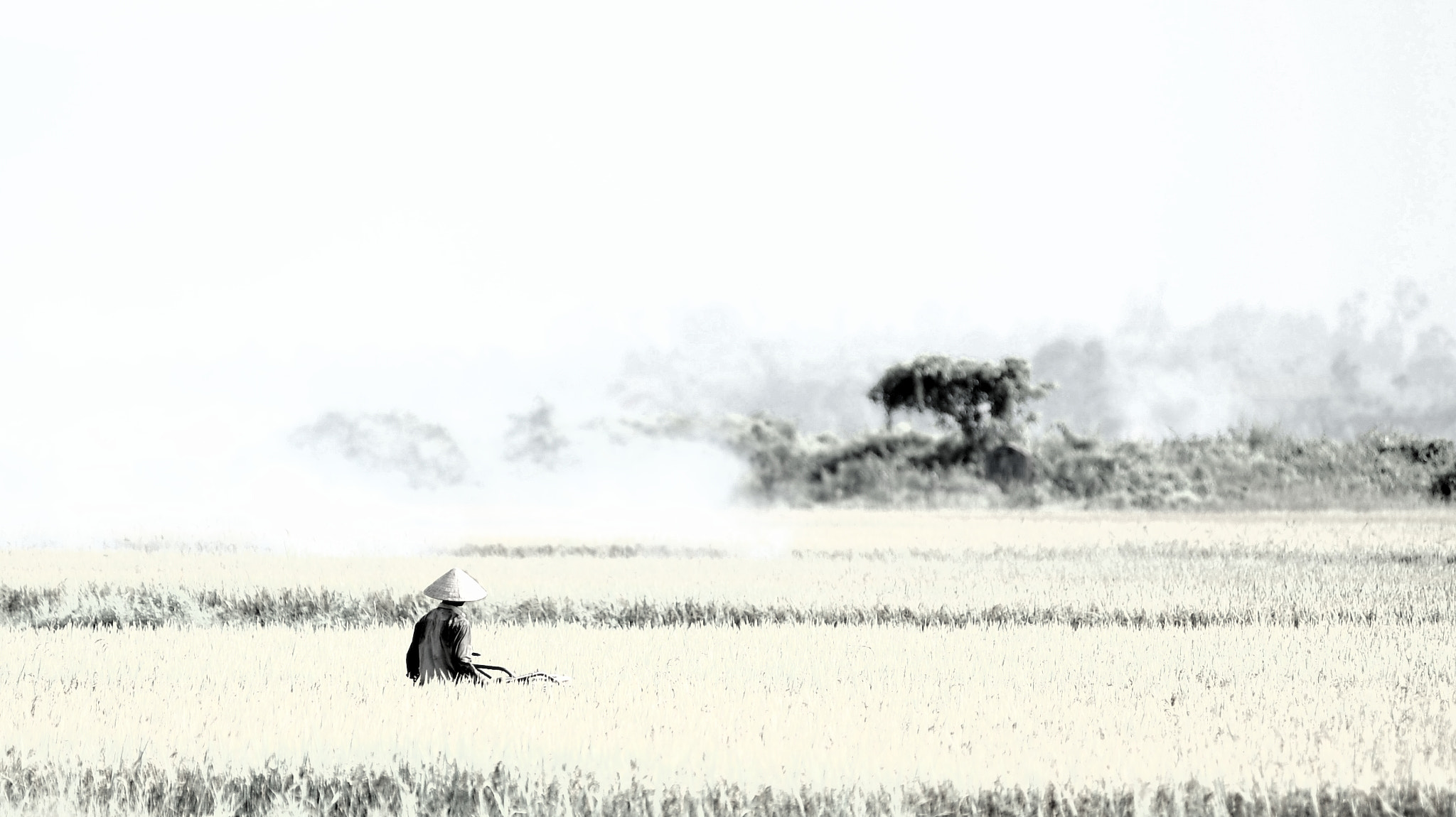Nikon AF-Nikkor 80-200mm F2.8D ED sample photo. The fammer in the field photography