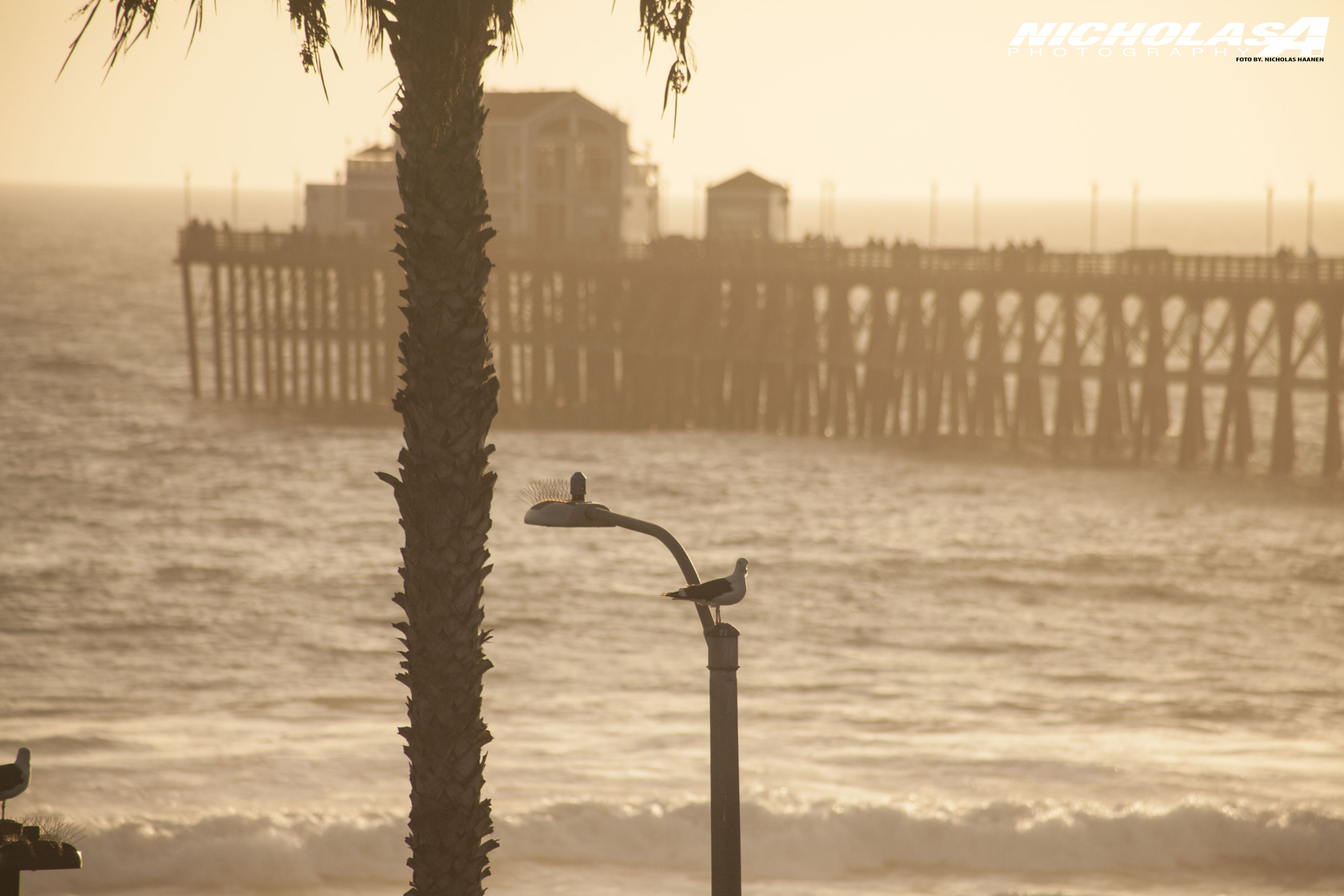 Canon EF 75-300mm f/4-5.6 USM sample photo. Oside photography