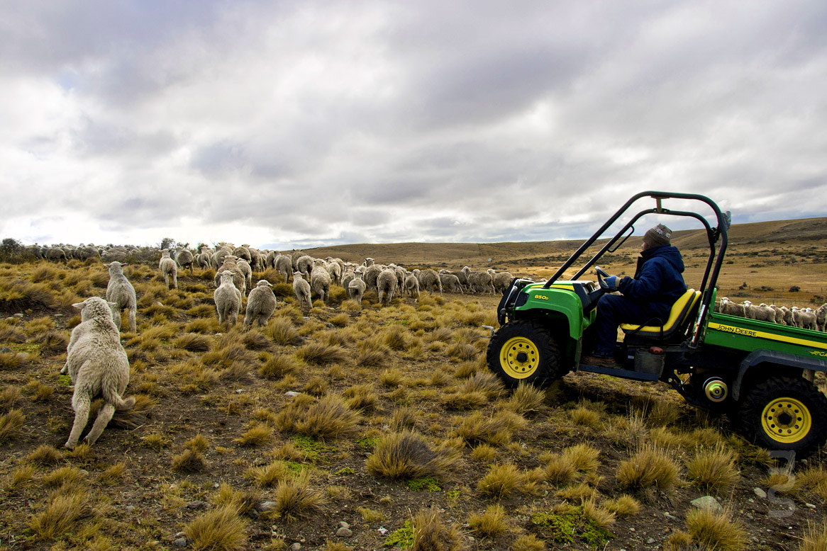 Sigma 18-200mm f/3.5-6.3 DC OS sample photo. John deere photography