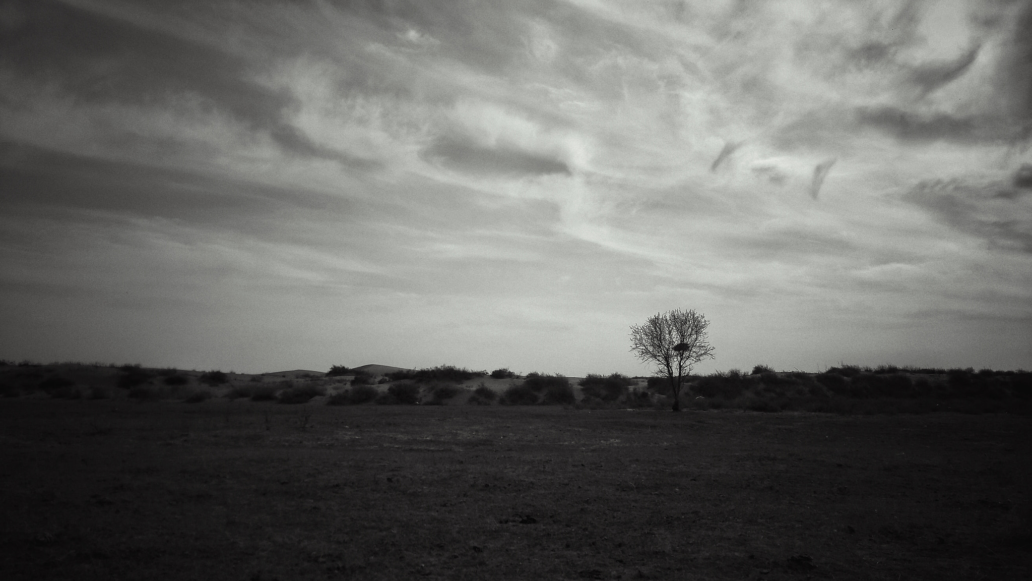 Meizu MX4 Pro sample photo. Kubuqi desert in nei monggol photography
