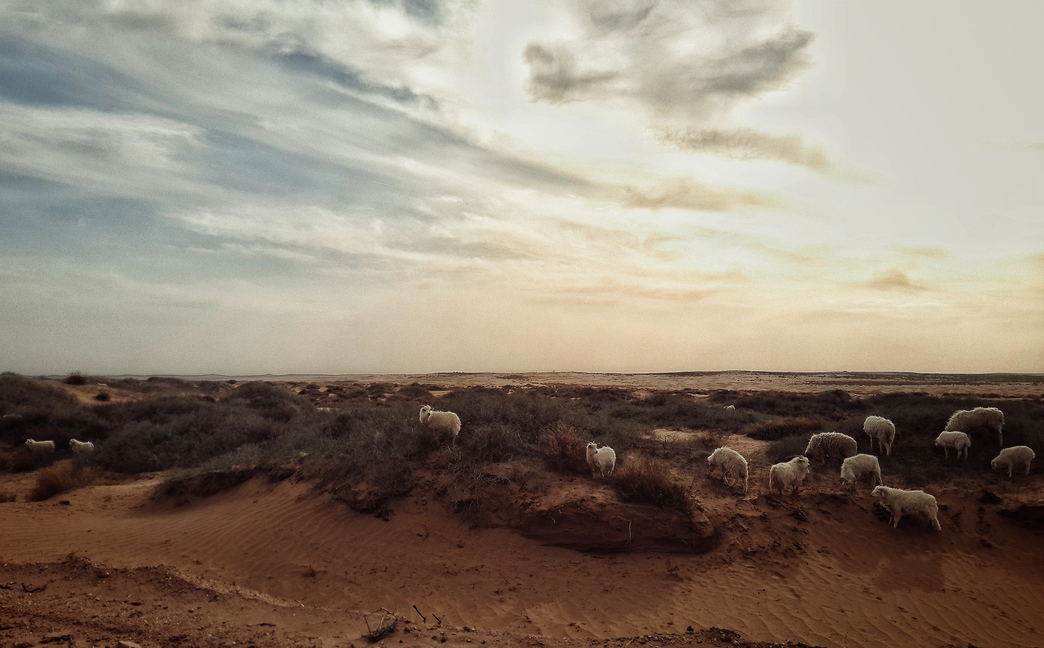 Meizu MX4 Pro sample photo. Desert of nei monggol photography