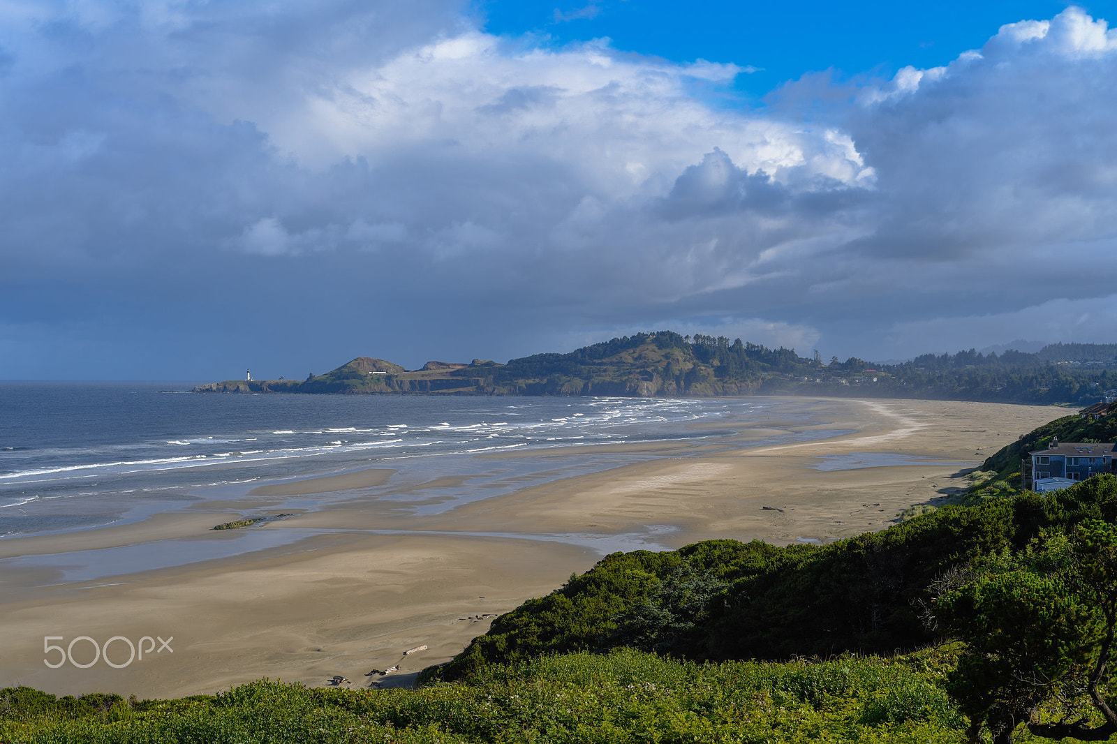 Nikon D5 + Nikon AF Nikkor 50mm F1.8D sample photo. Agate beach state park & yaquina head outstanding natural area photography