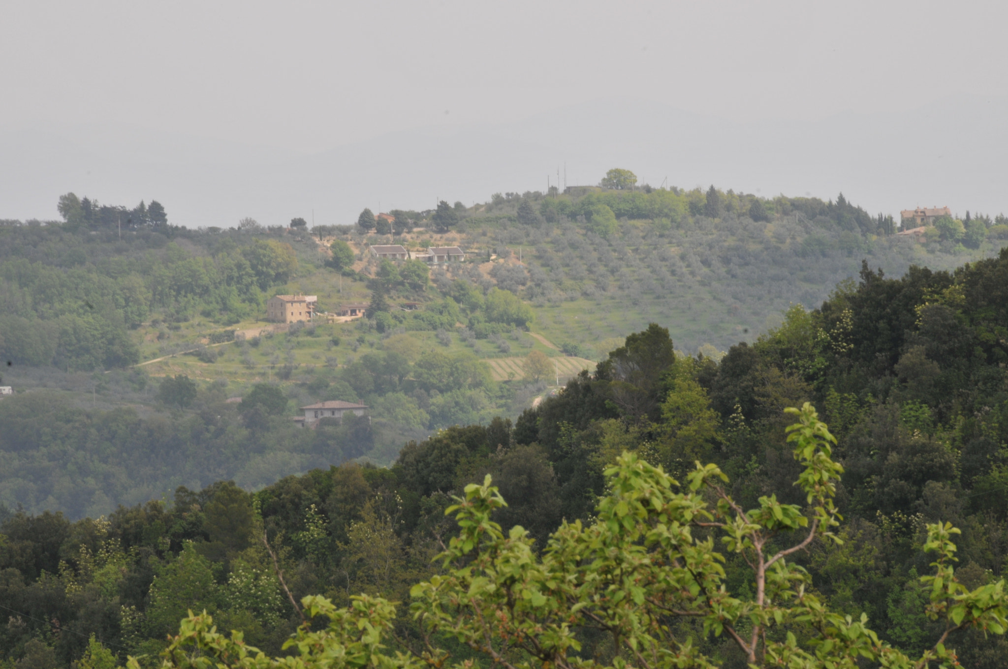 Nikon D300 sample photo. Italy photography