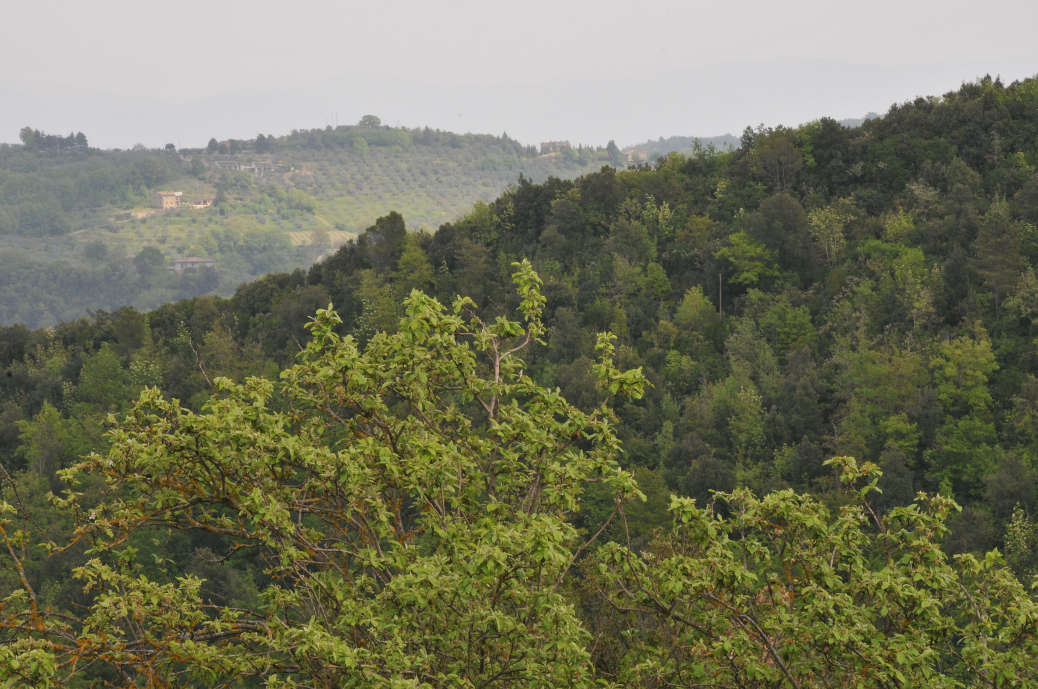 Nikon D300 sample photo. Italy photography