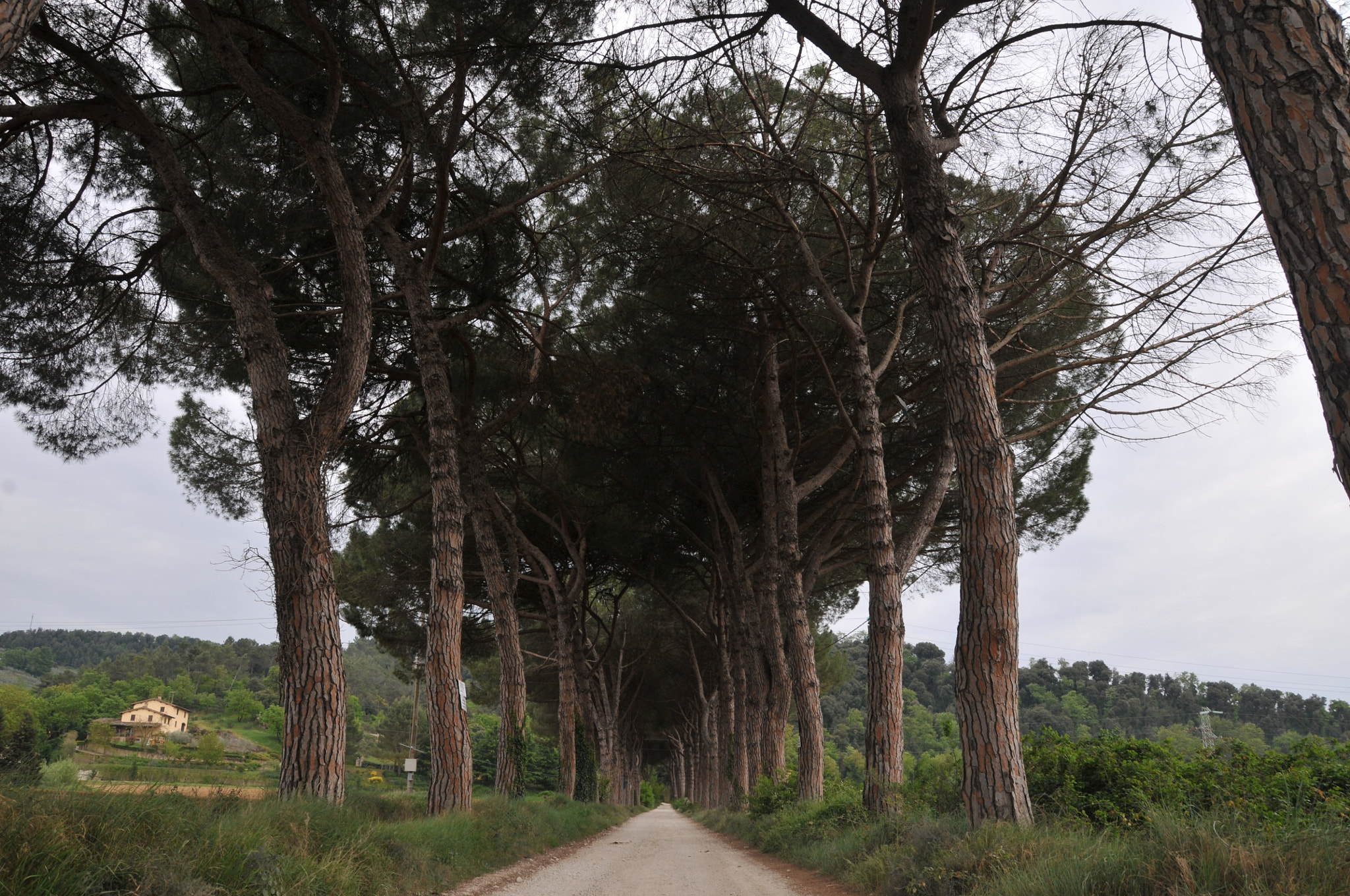 Nikon D300 sample photo. Italy photography