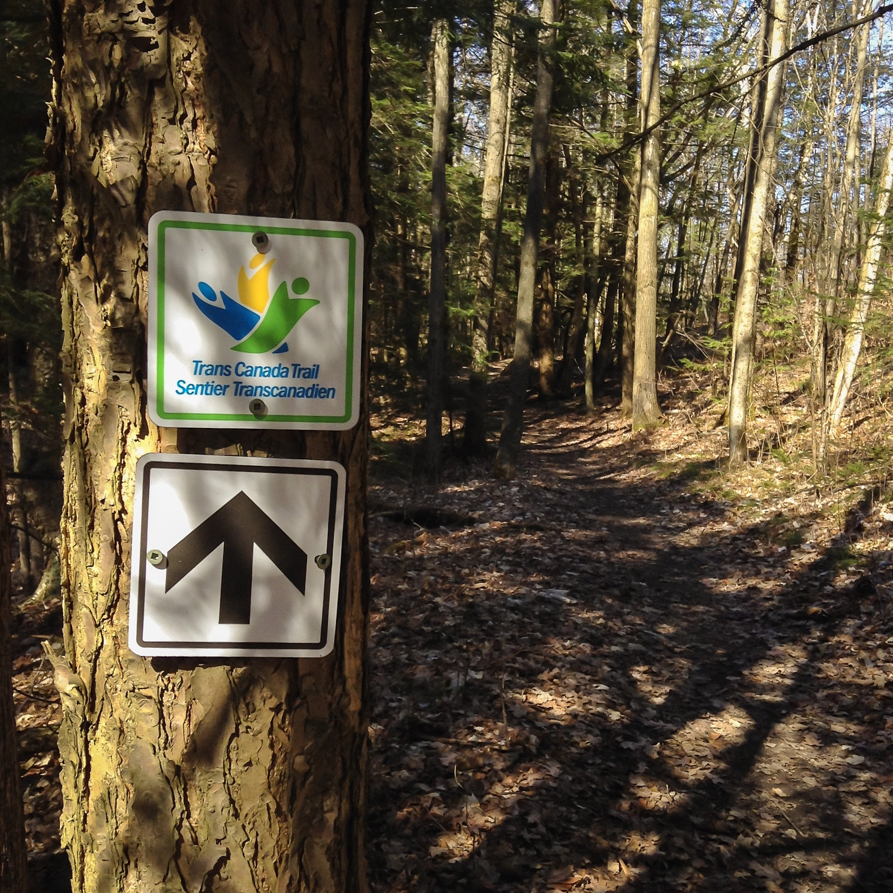 iPod touch back camera 3.3mm f/2.4 sample photo. Hiking along the trans canada trail photography