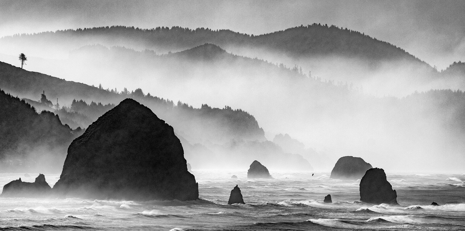 Canon EOS 500D (EOS Rebel T1i / EOS Kiss X3) + Sigma 50-500mm F4.5-6.3 DG OS HSM sample photo. Foggy oregon morning, as i rode down the us coast  ... photography