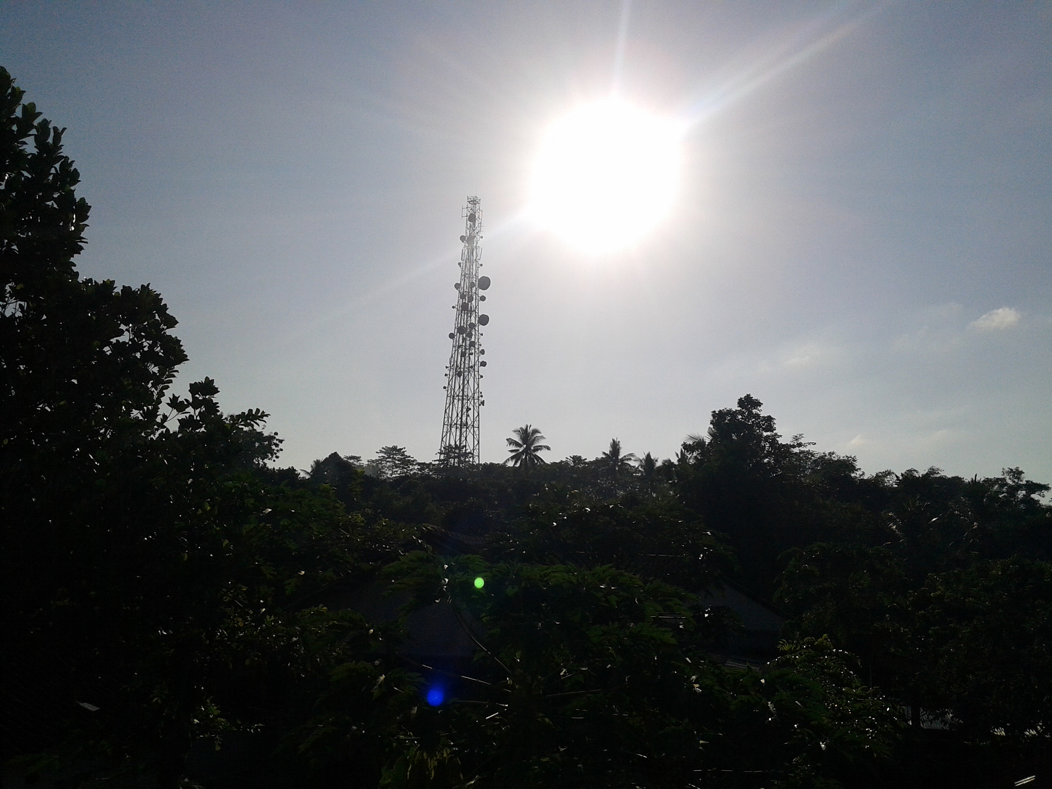 Samsung Galaxy Grand Neo sample photo