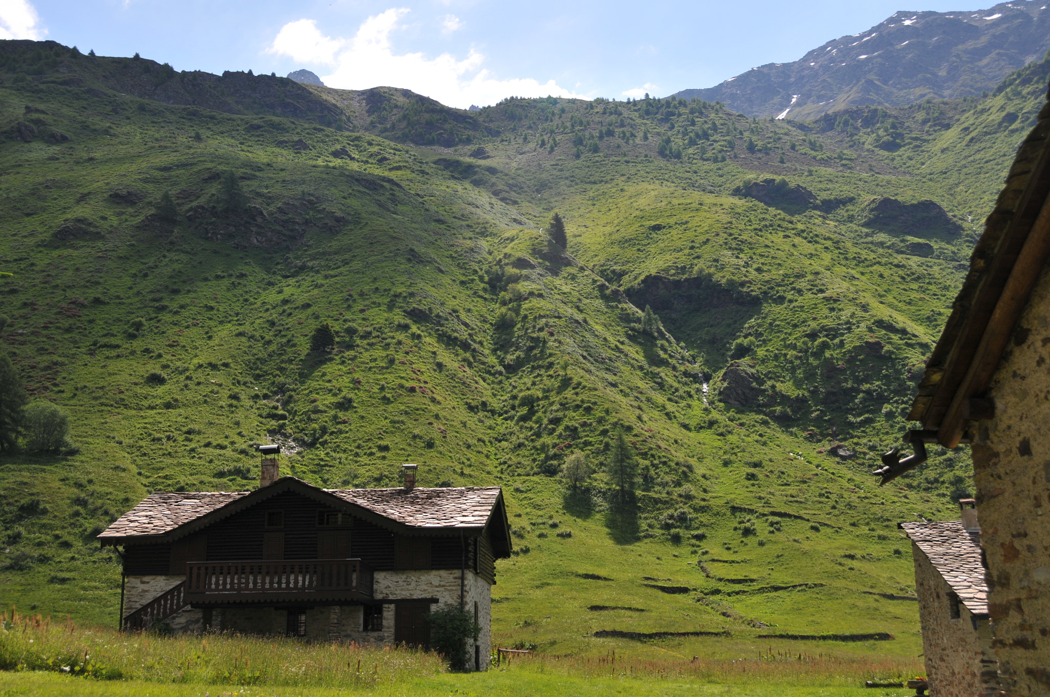 Nikon D300 sample photo. Caso di viso, italy photography