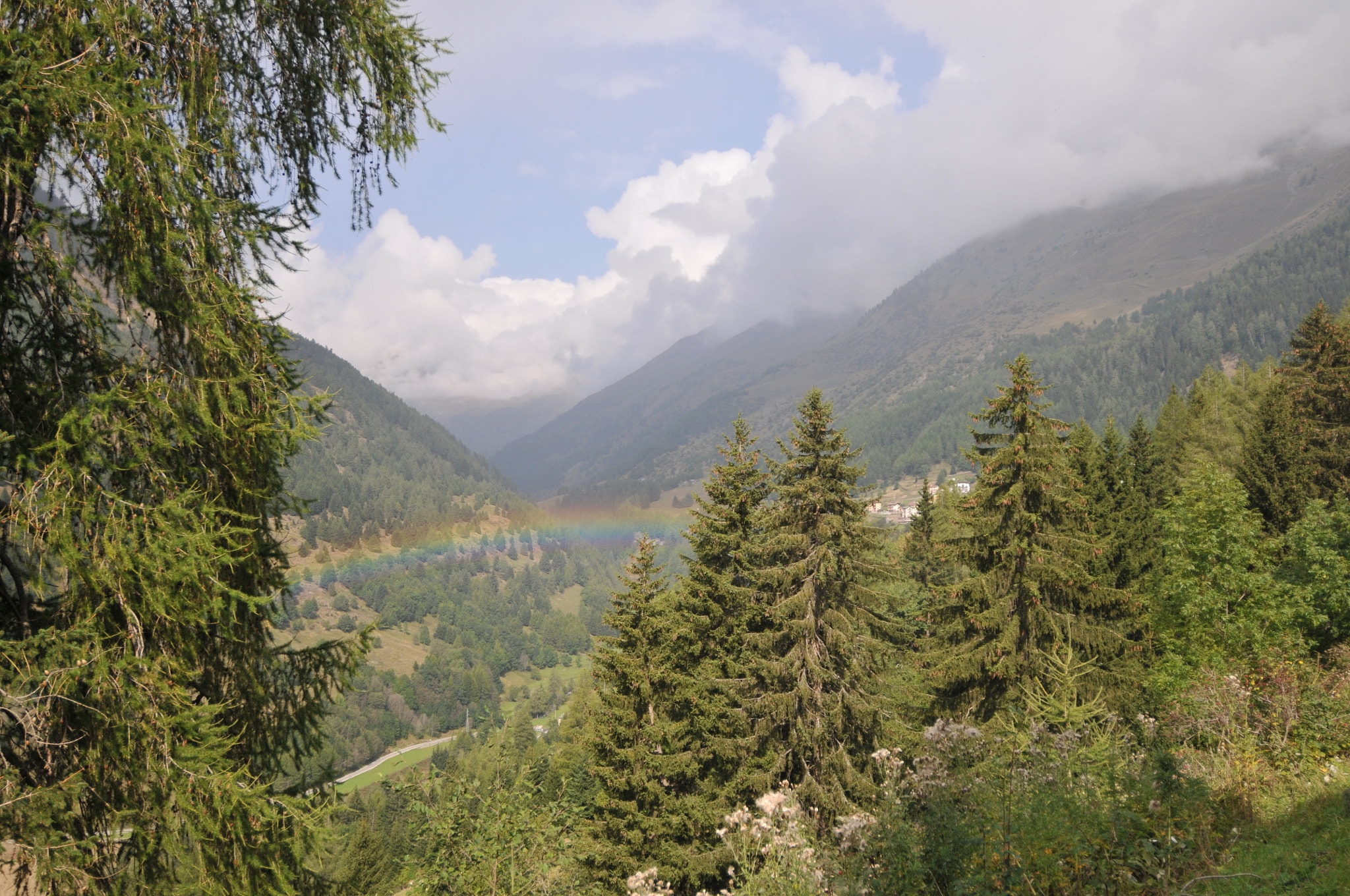 Nikon D300 sample photo. Caso di viso, italy photography