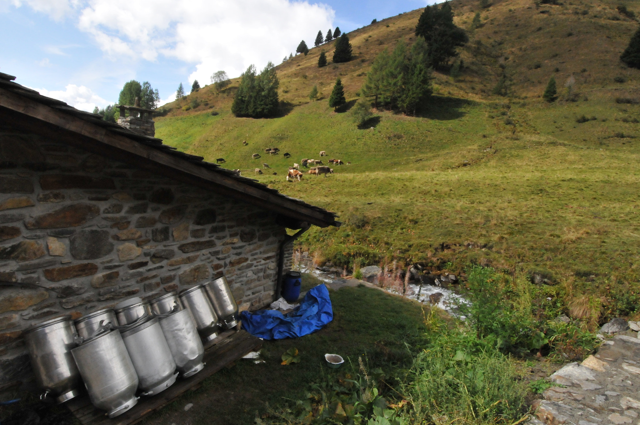 Nikon D300 sample photo. Caso di viso, italy photography