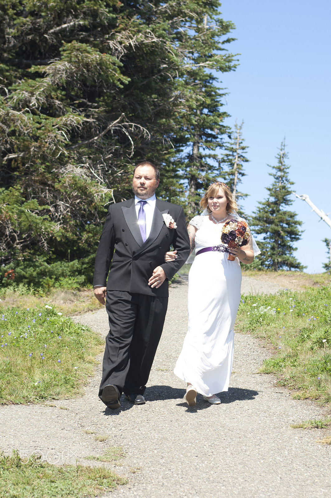Nikon D2X sample photo. Olympic national park: hurricane ridge photography