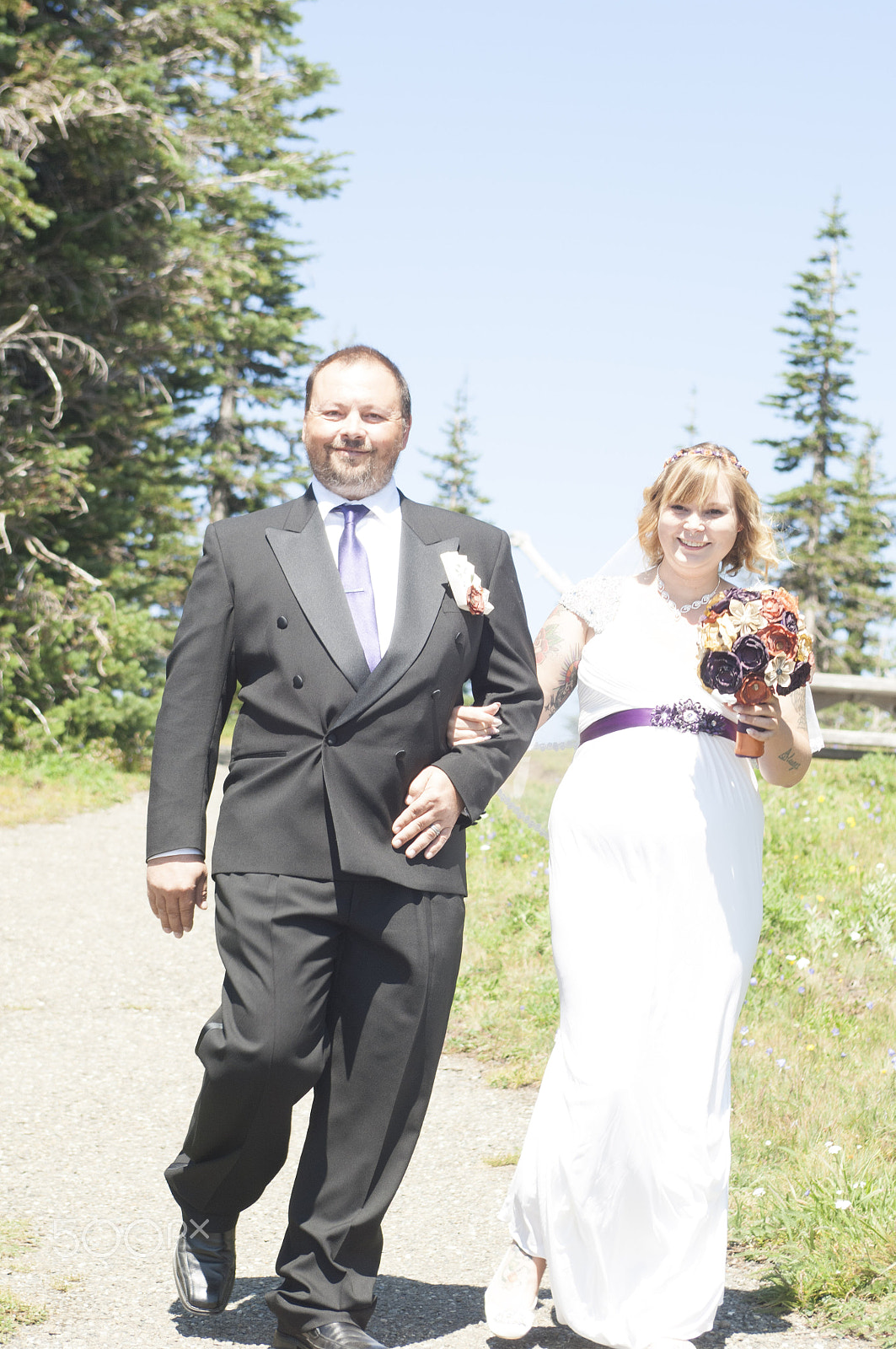 Nikon D2X sample photo. Olympic national park: hurricane ridge photography