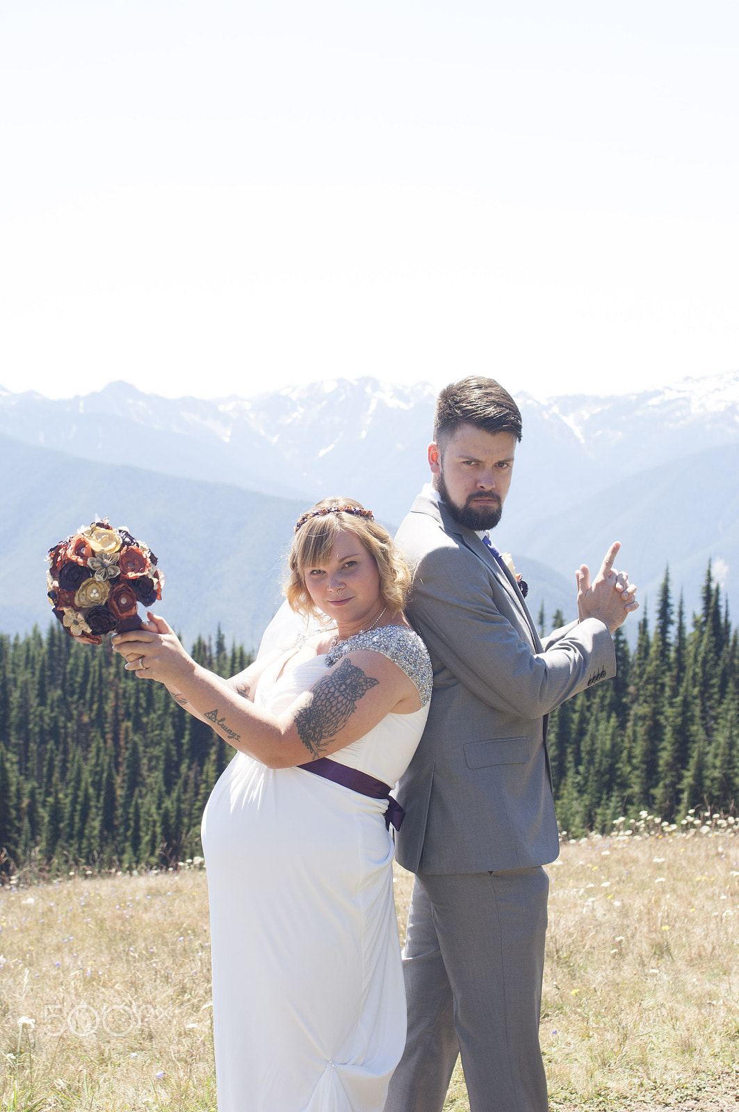 Nikon D2X sample photo. Olympic national park: hurricane ridge photography