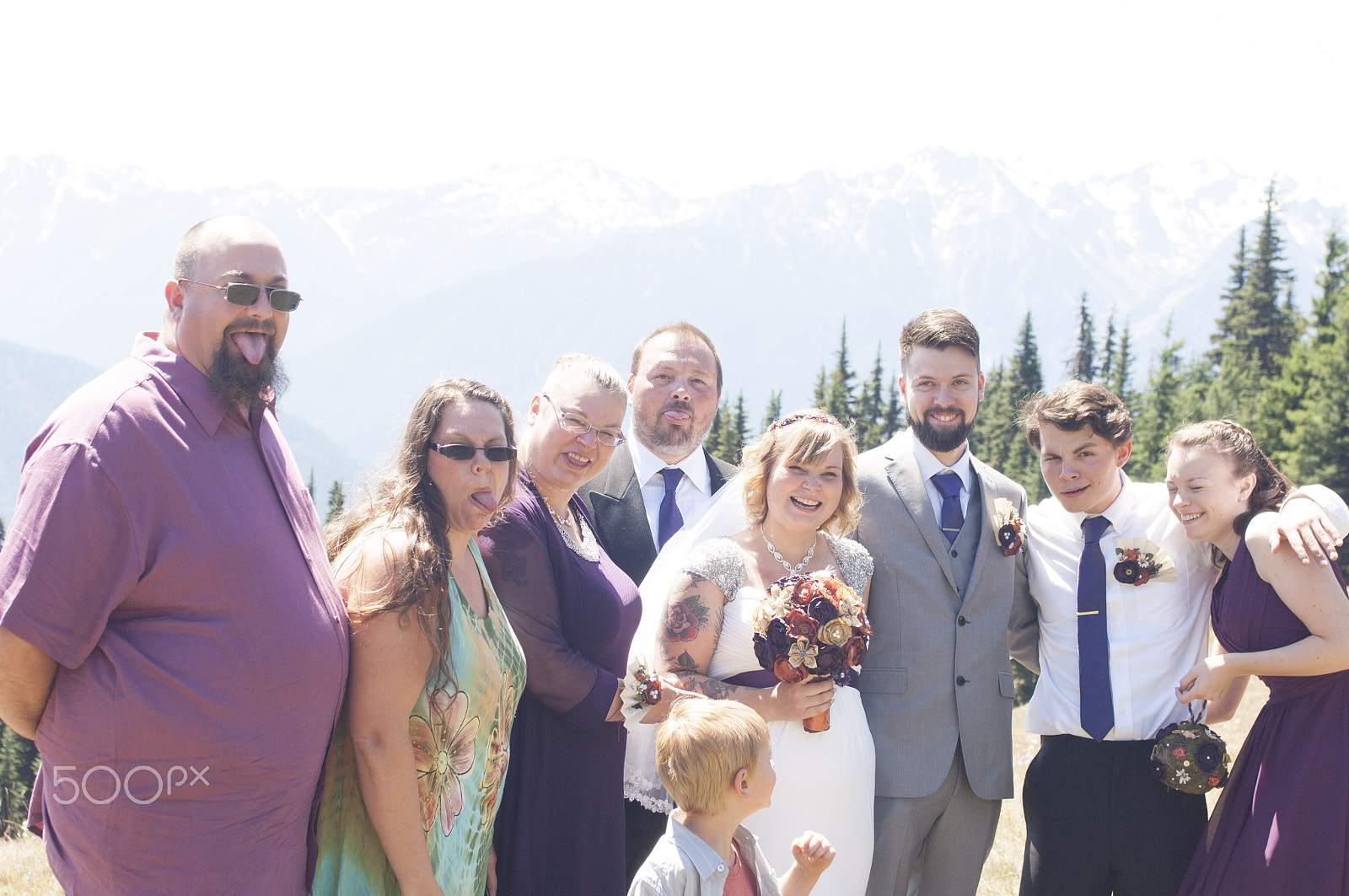 Nikon D2X sample photo. Olympic national park: hurricane ridge photography