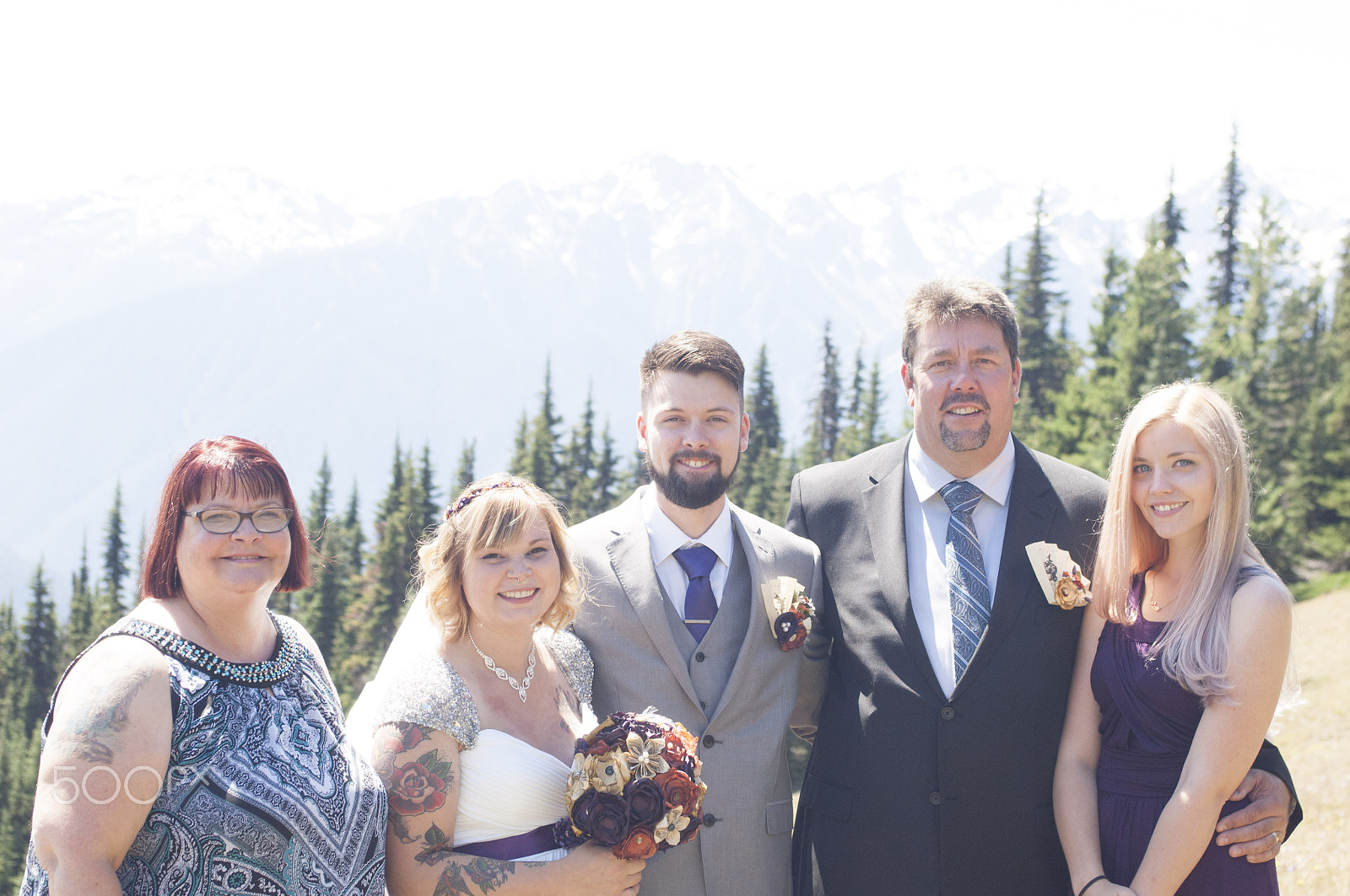 Nikon D2X sample photo. Olympic national park: hurricane ridge photography