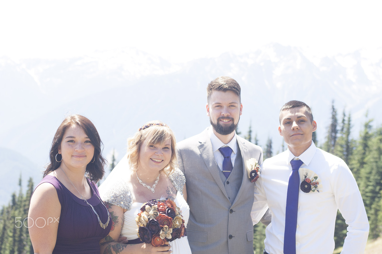 Nikon D2X sample photo. Olympic national park: hurricane ridge photography