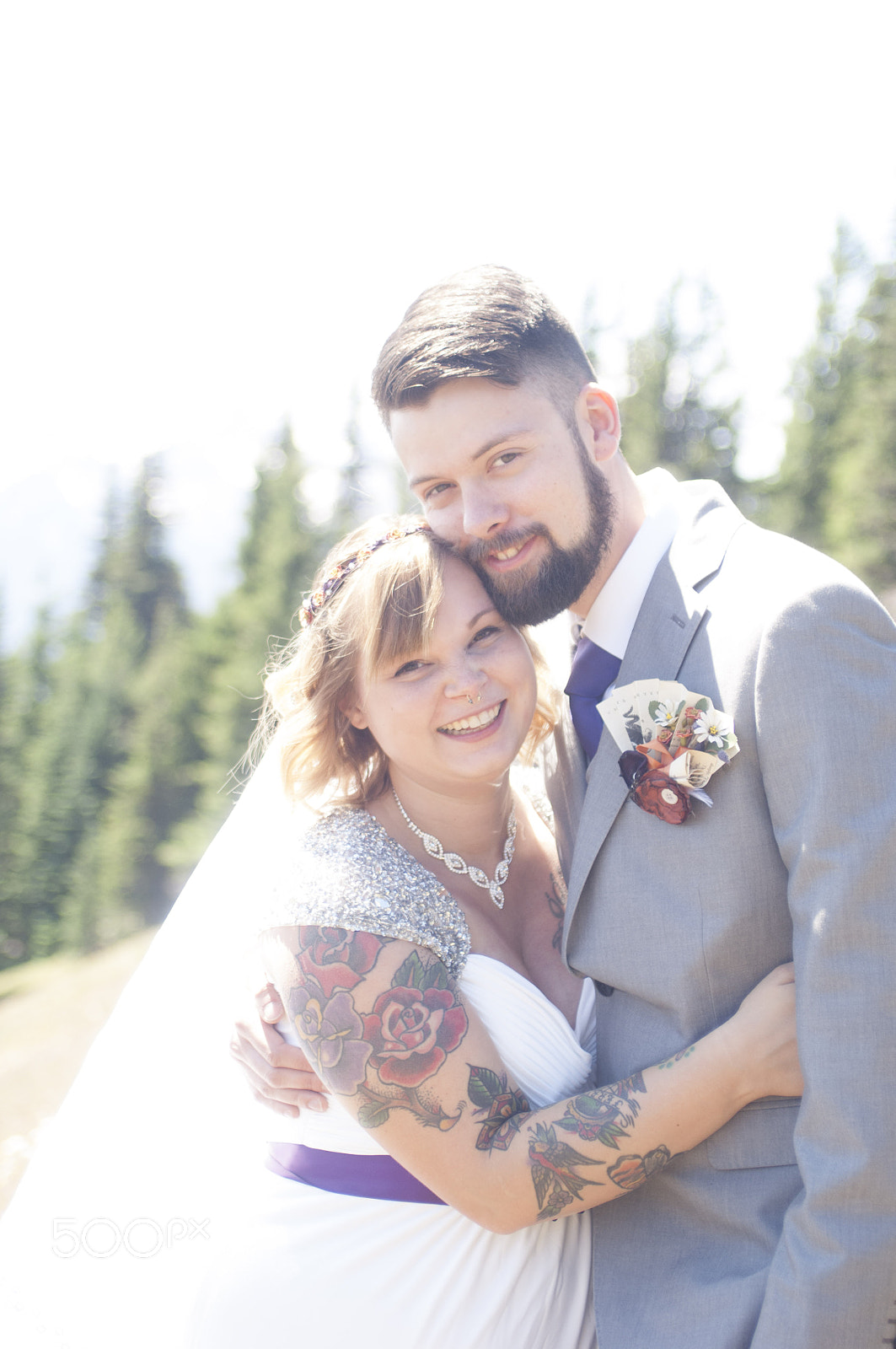 Nikon D2X sample photo. Olympic national park: hurricane ridge photography