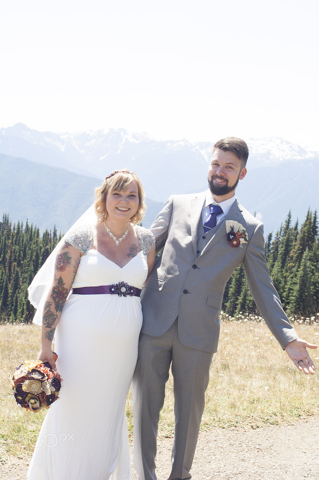 Nikon D2X sample photo. Olympic national park: hurricane ridge photography