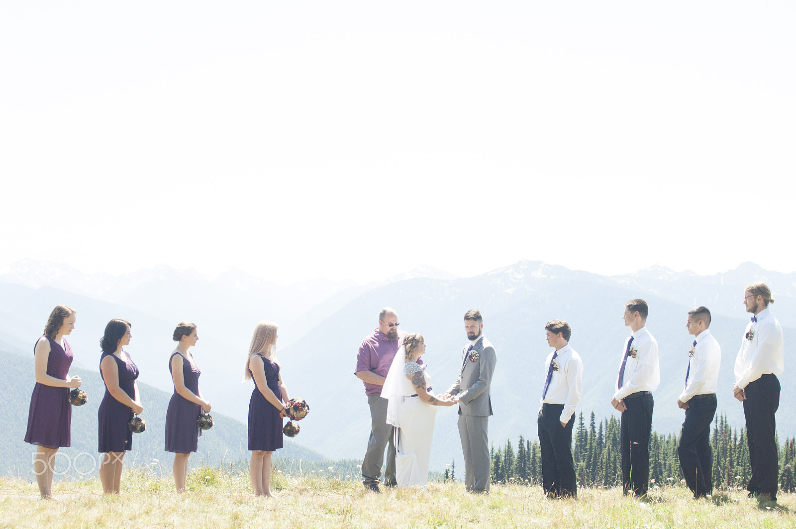 Nikon D2X sample photo. Olympic national park: hurricane ridge photography