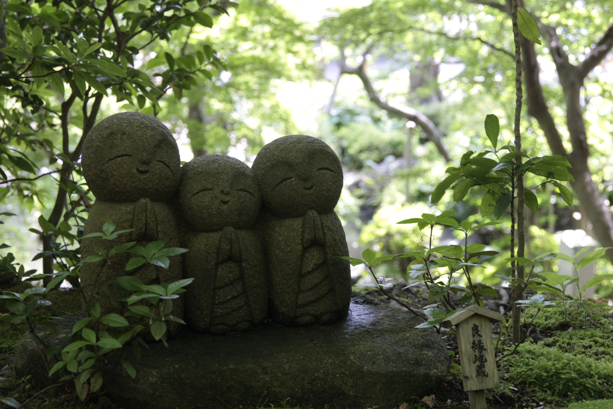 Canon EOS 40D sample photo
