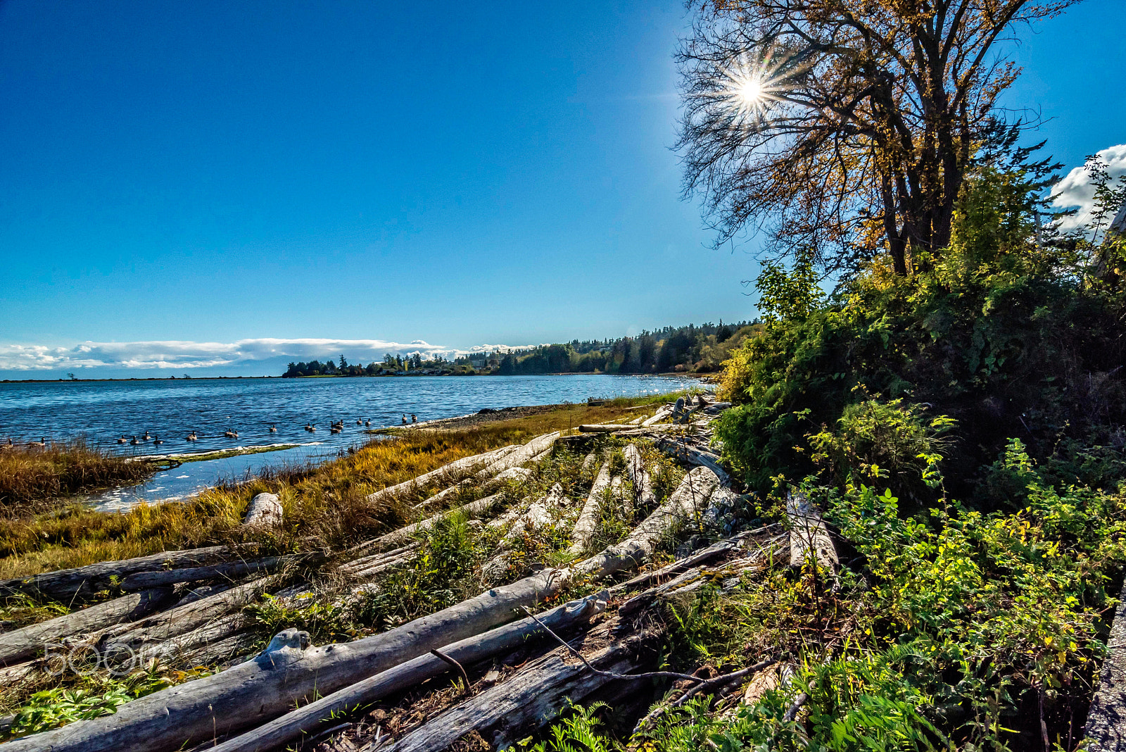 Tokina AT-X Pro 11-16mm F2.8 DX sample photo. Esquimalt lagoon, colwood bc photography