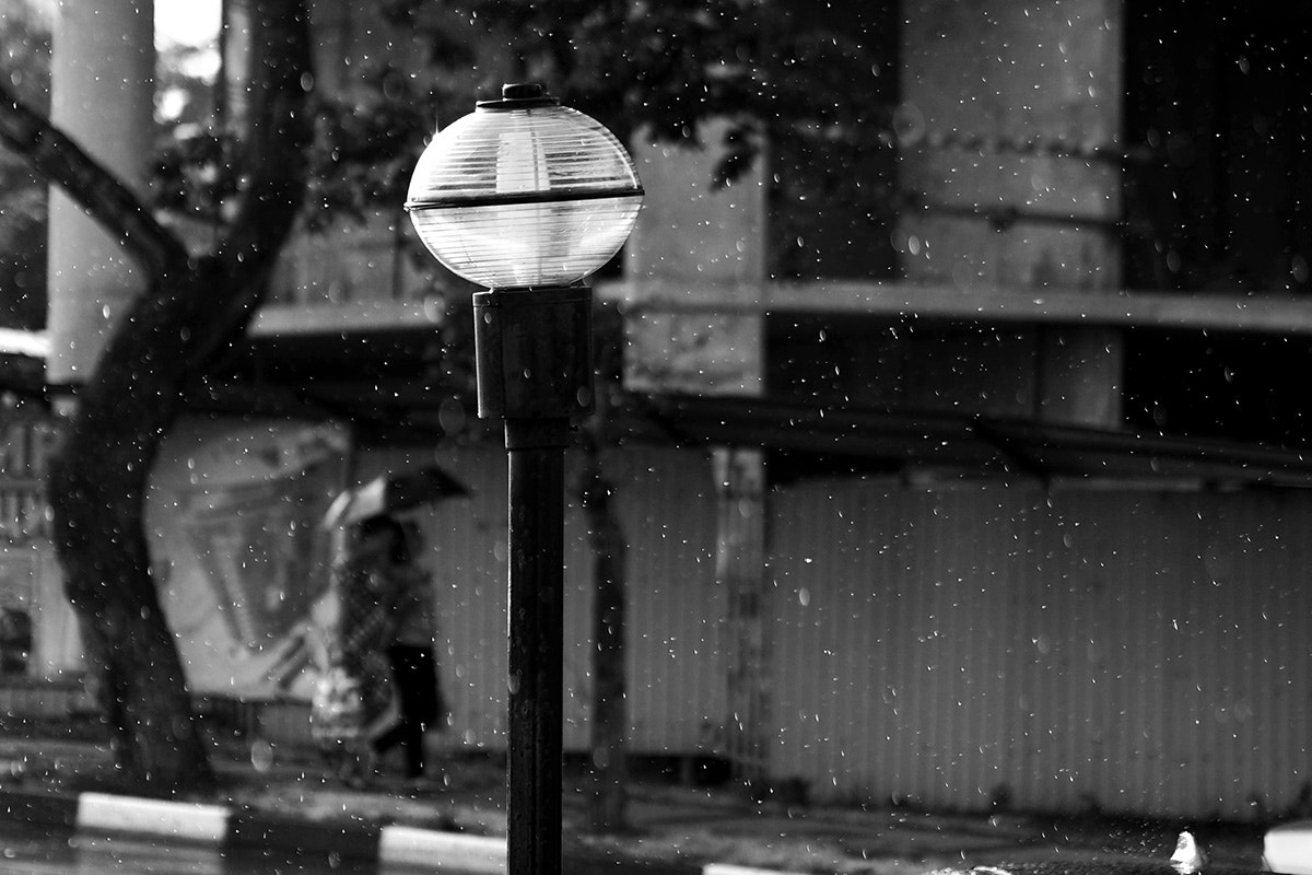 Olympus PEN E-PM2 sample photo. *** photography