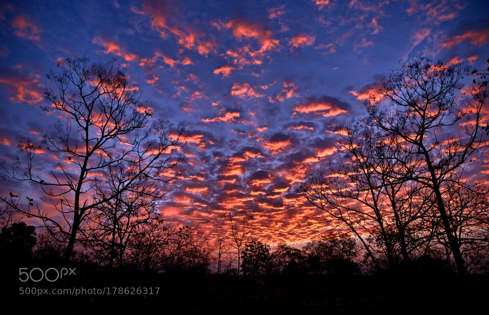 Nikon D750 sample photo. Dawn photography