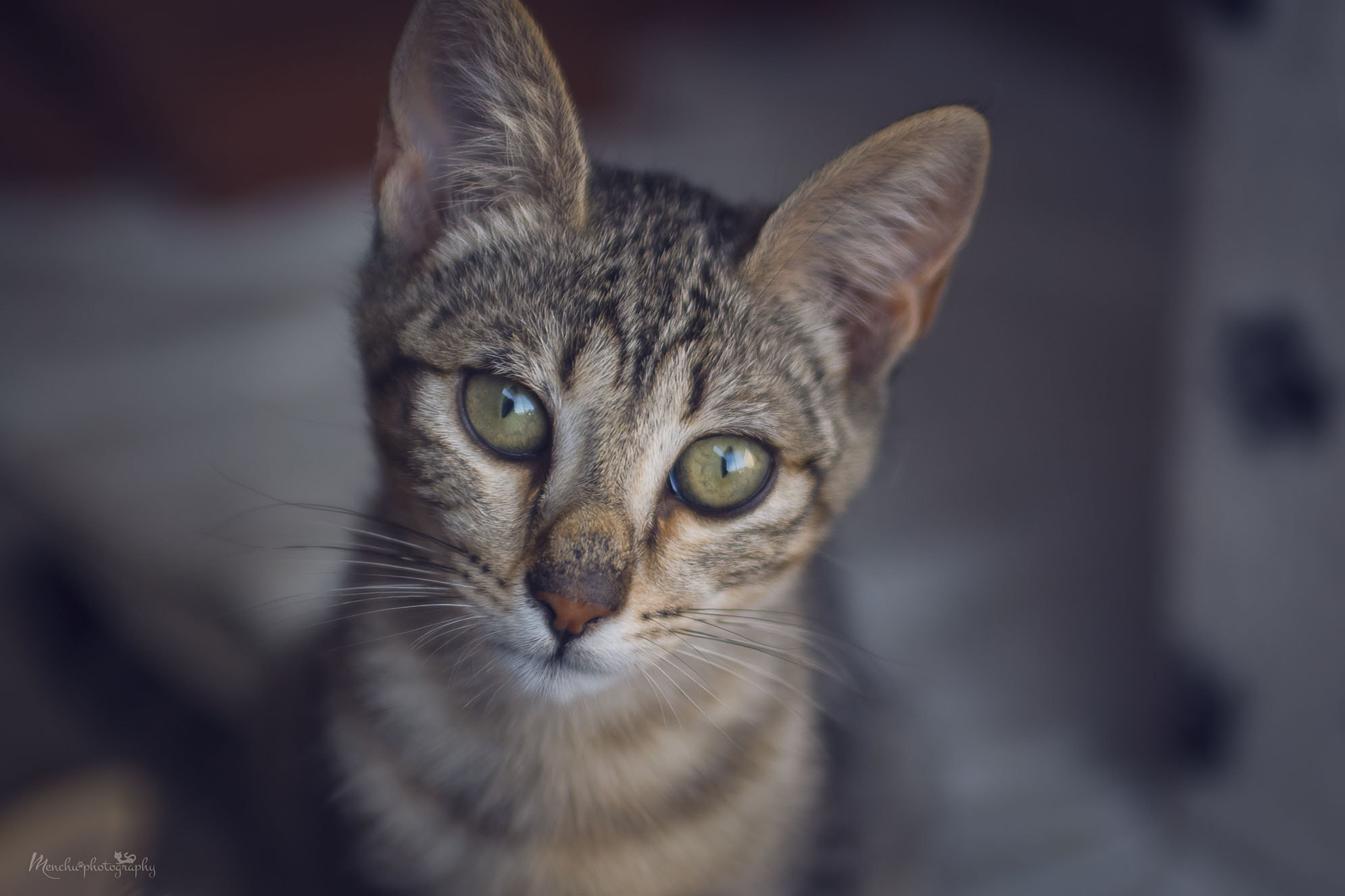 EF28-70mm f/2.8L USM sample photo. Dulce photography