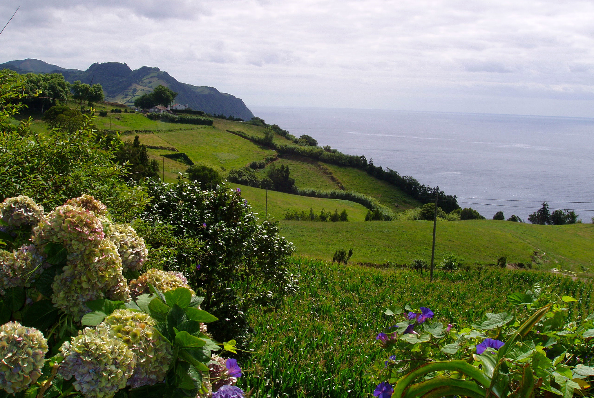 Olympus X-2,C-50Z sample photo. Açores - ilha de são miguel photography