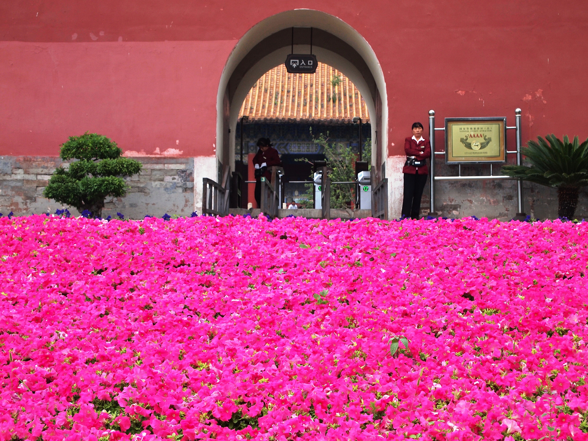 Olympus PEN E-P1 sample photo. China - pequim photography
