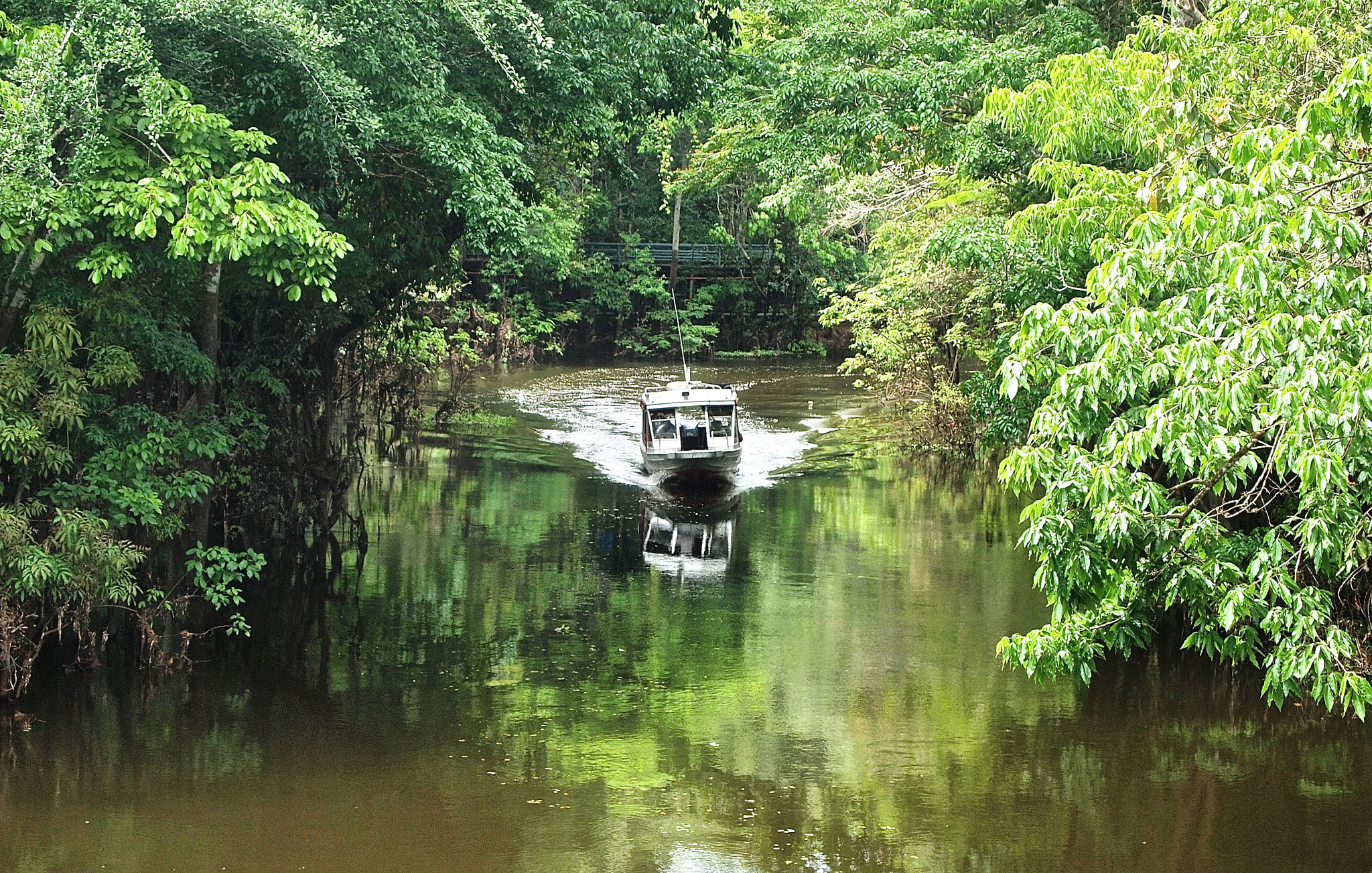 Olympus PEN E-P1 sample photo. Brasil - manaus photography