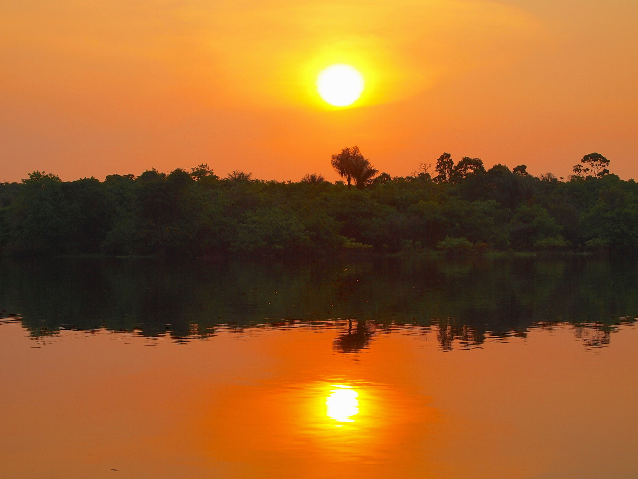Olympus PEN E-P1 sample photo. Brasil - manaus photography