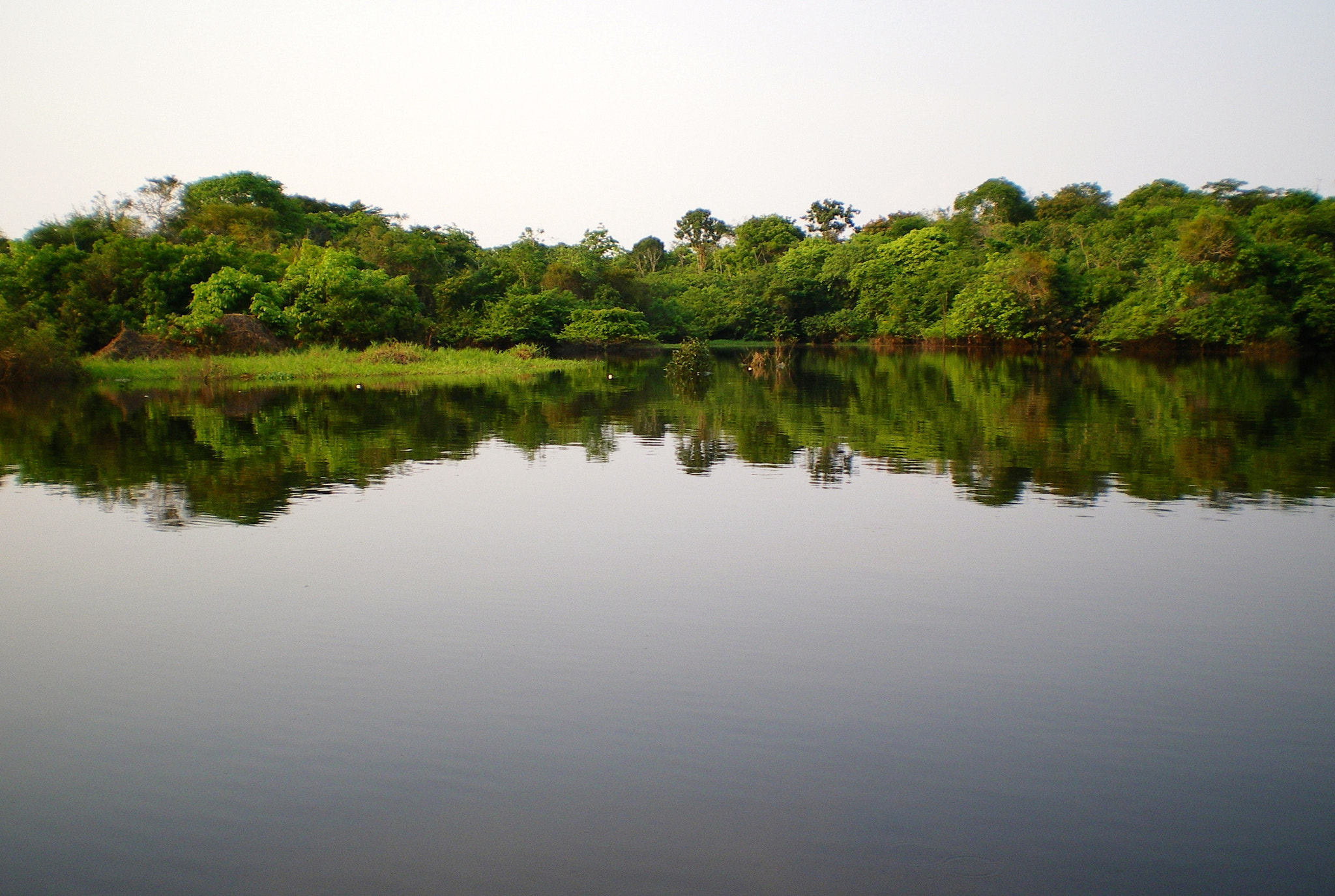 Pentax OPTIO L40 sample photo. Brasil - manaus photography