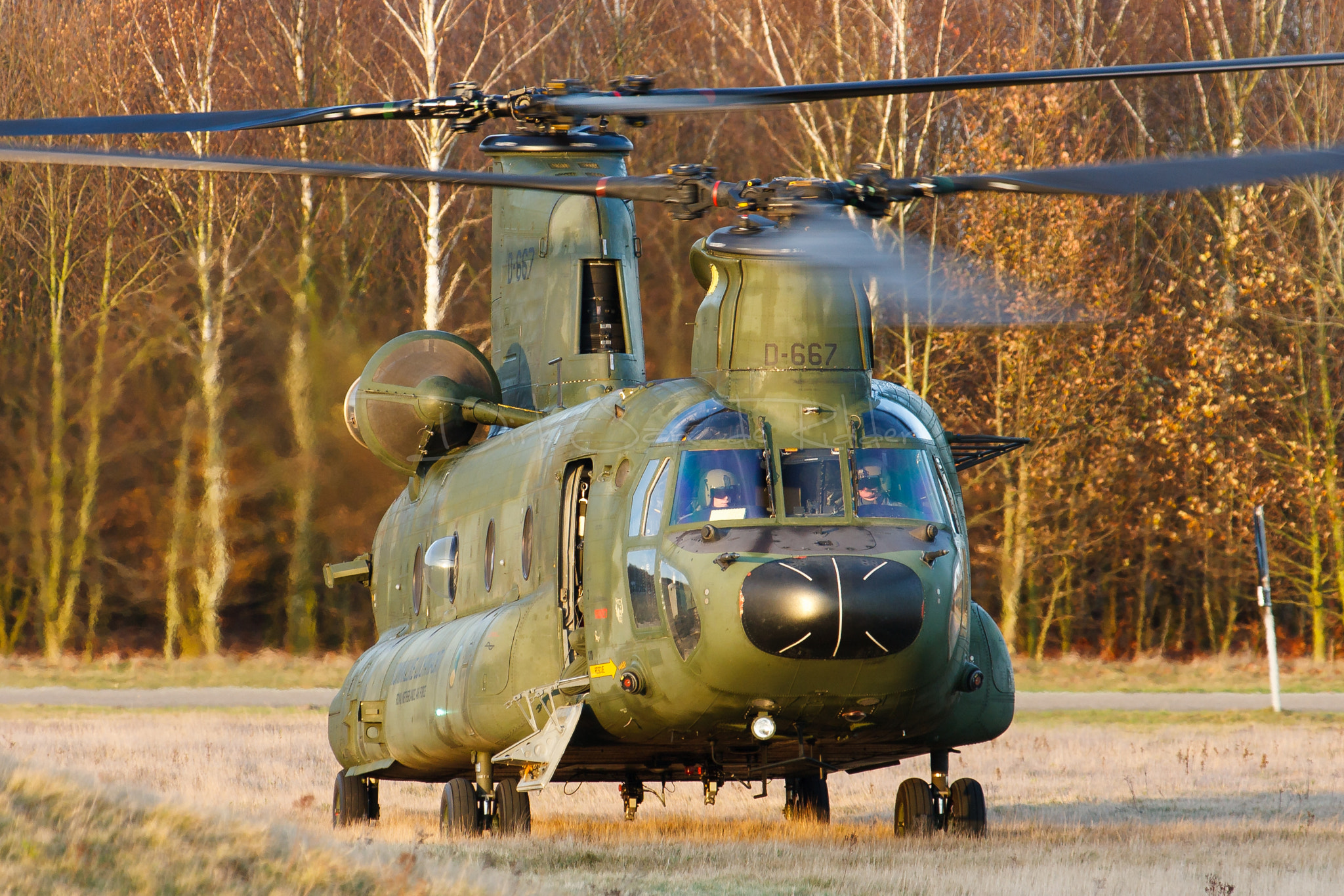 Canon EOS 40D + Canon EF 70-200mm F2.8L USM sample photo. Royal netherlands air force ch-47d chinook d-667 photography