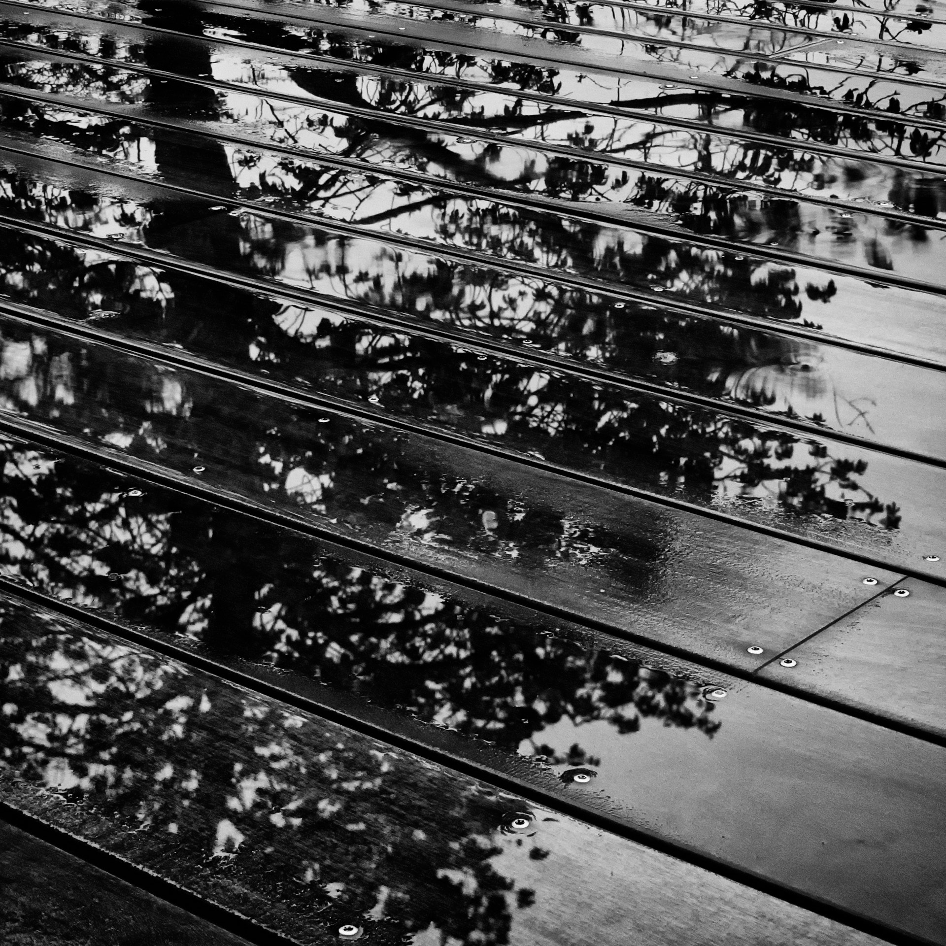 Canon TS-E 24mm f/3.5L sample photo. Today rain photography
