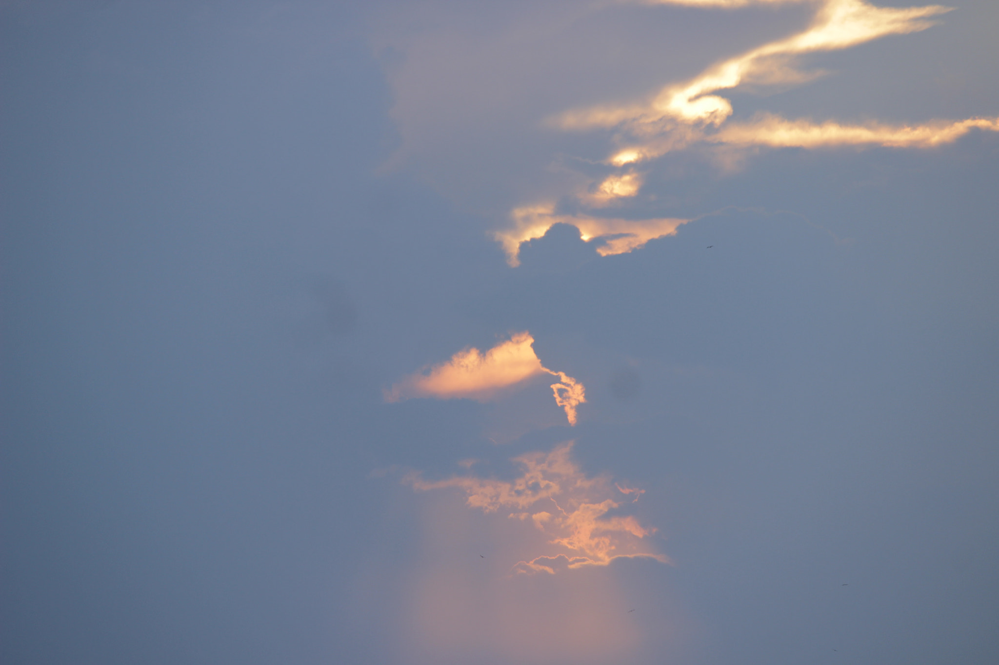 Canon EOS 600D (Rebel EOS T3i / EOS Kiss X5) sample photo. Img photography