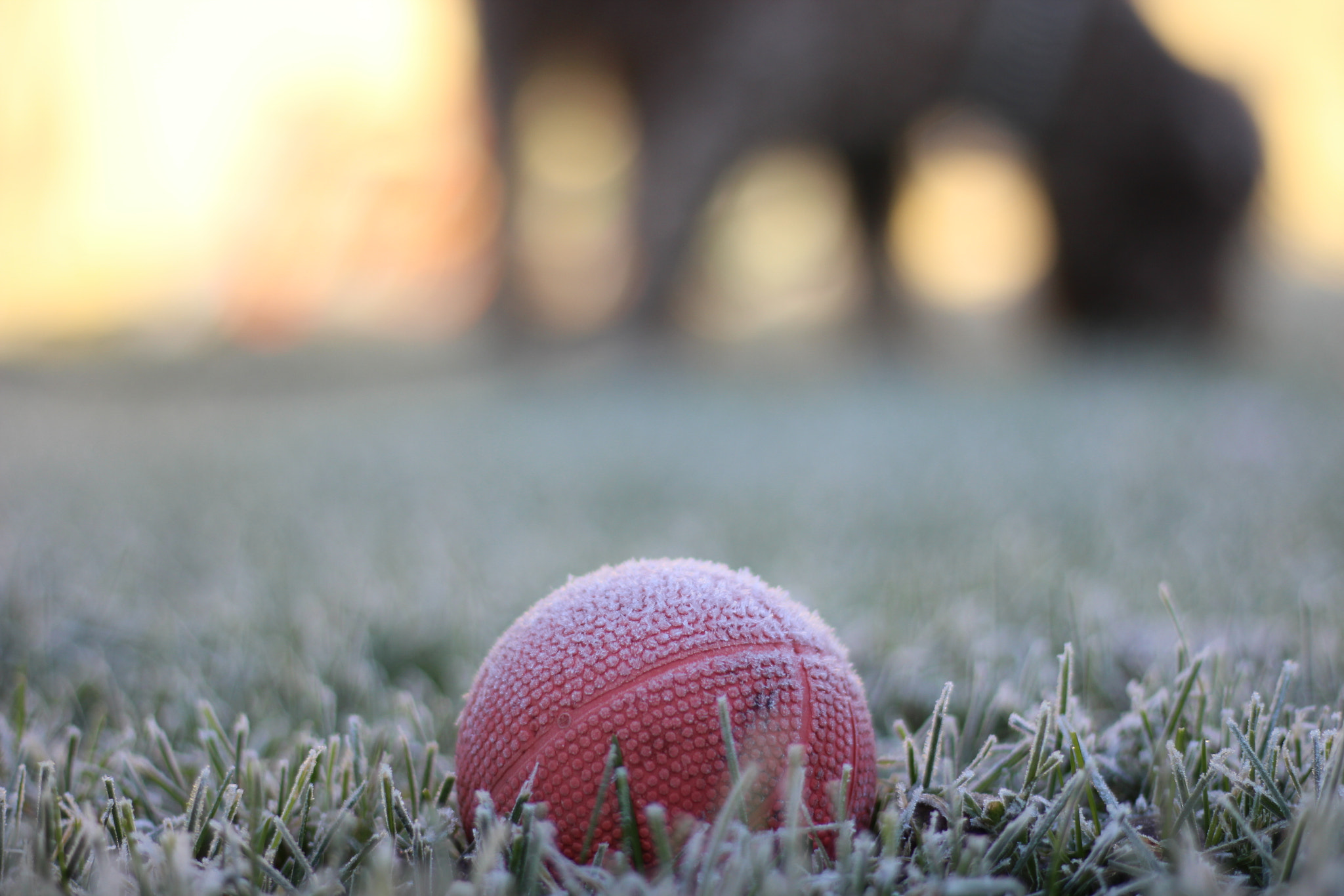 Canon EF 22-55mm f/4-5.6 USM sample photo. Favorite photography