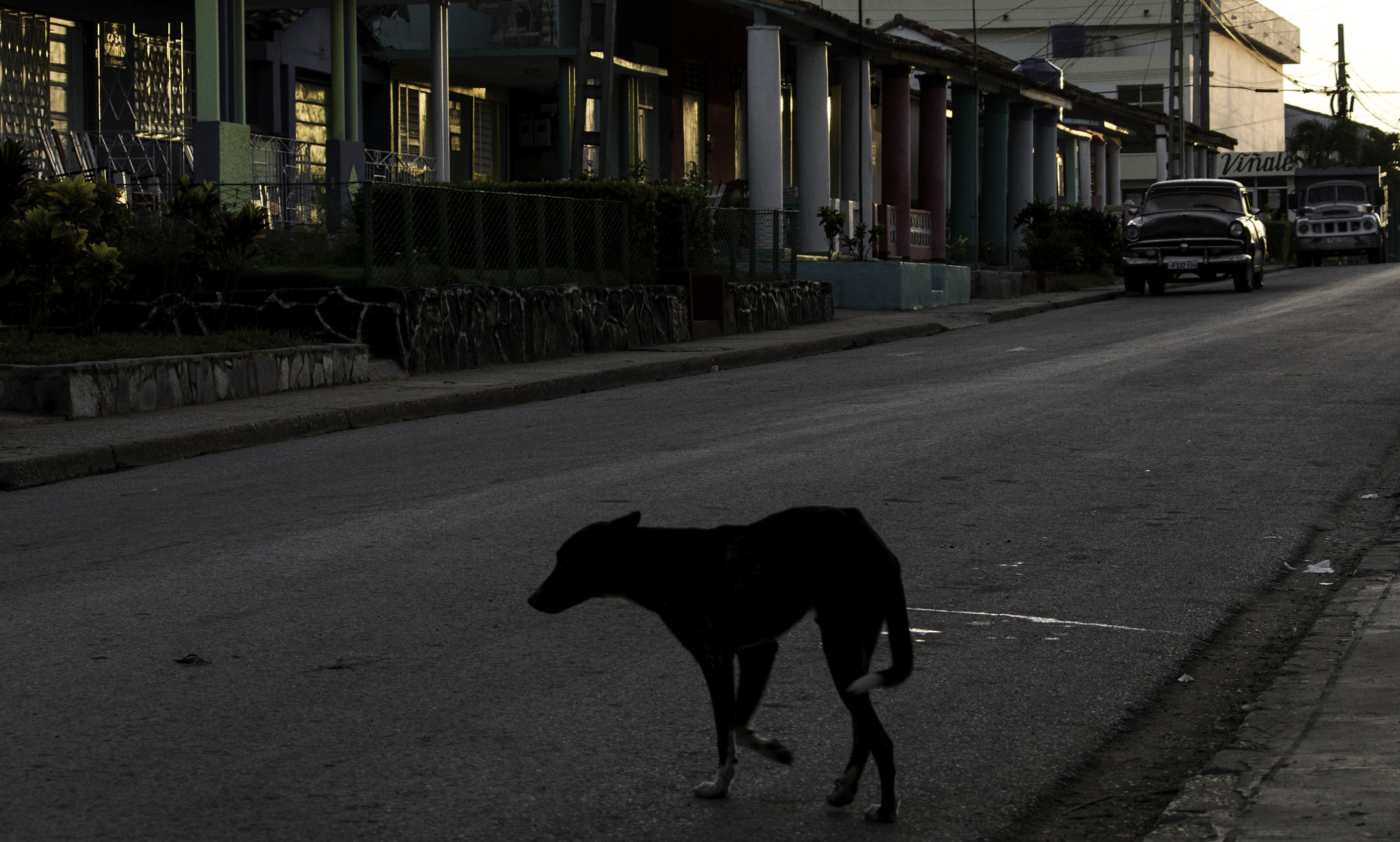 Canon EF-S 55-250mm F4-5.6 IS sample photo. Lonesome cowboy photography